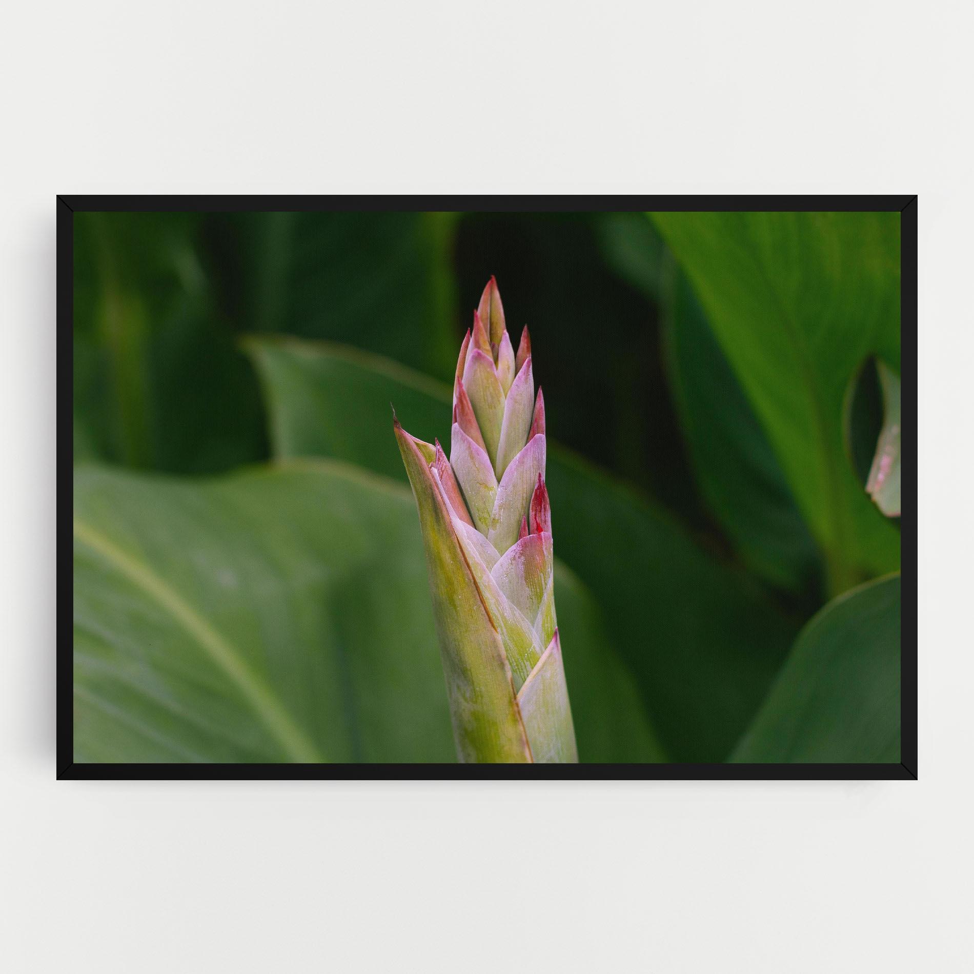 Leinwandbild Light Pink Exotic mockup 0