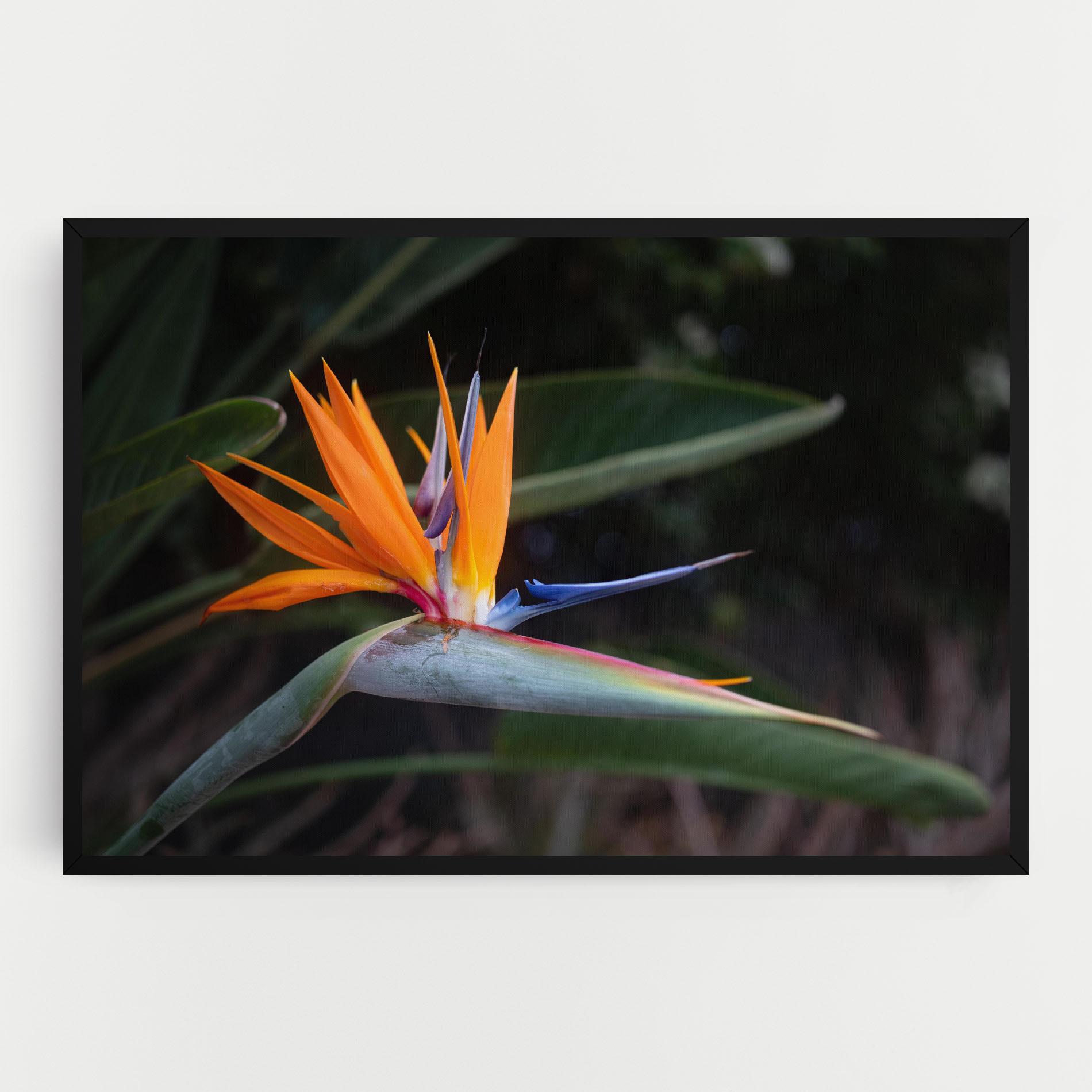 Leinwandbild Paradise Plant mockup 0