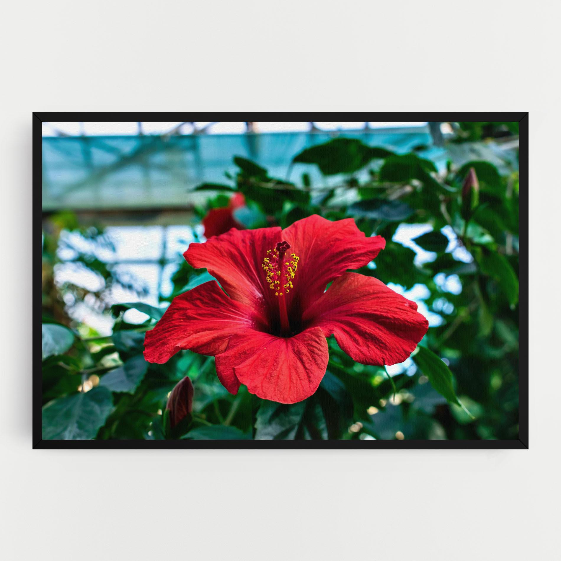 Leinwandbild Red Exotic Plant mockup 0