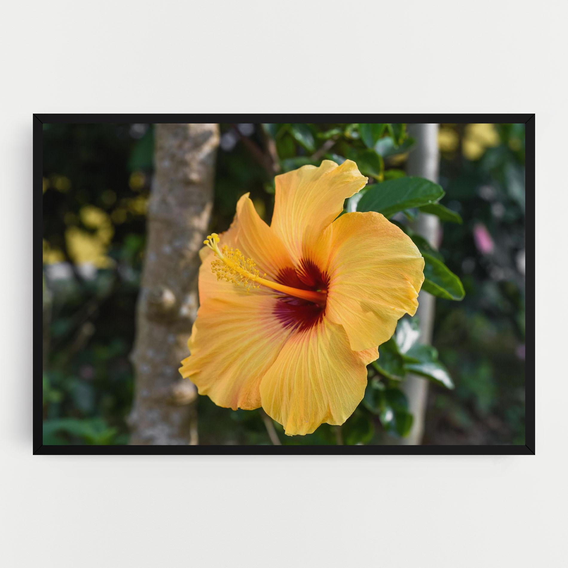 Leinwandbild Yellow Hibiscus mockup 0