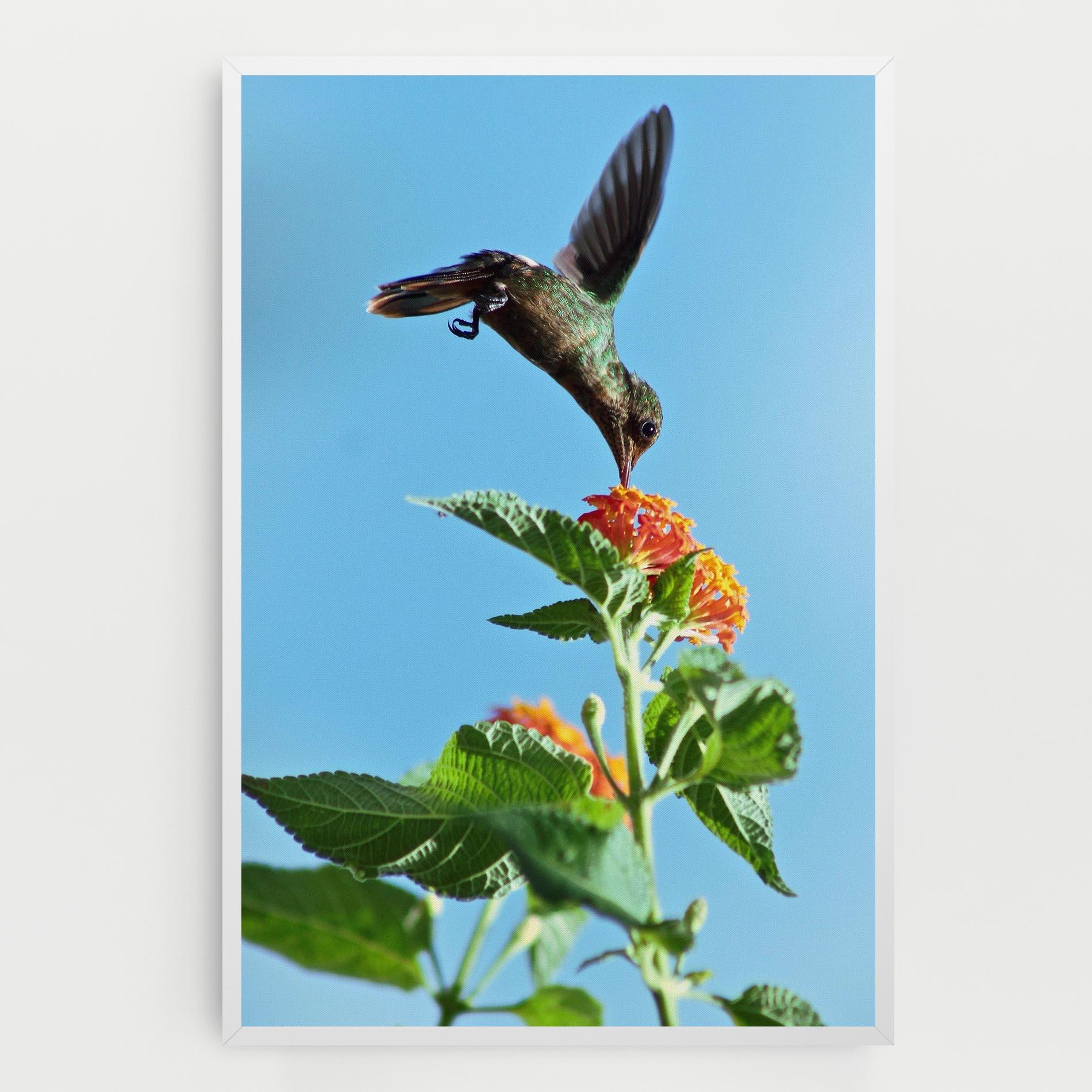 Leinwandbild Bird Exotic Flower mockup 0