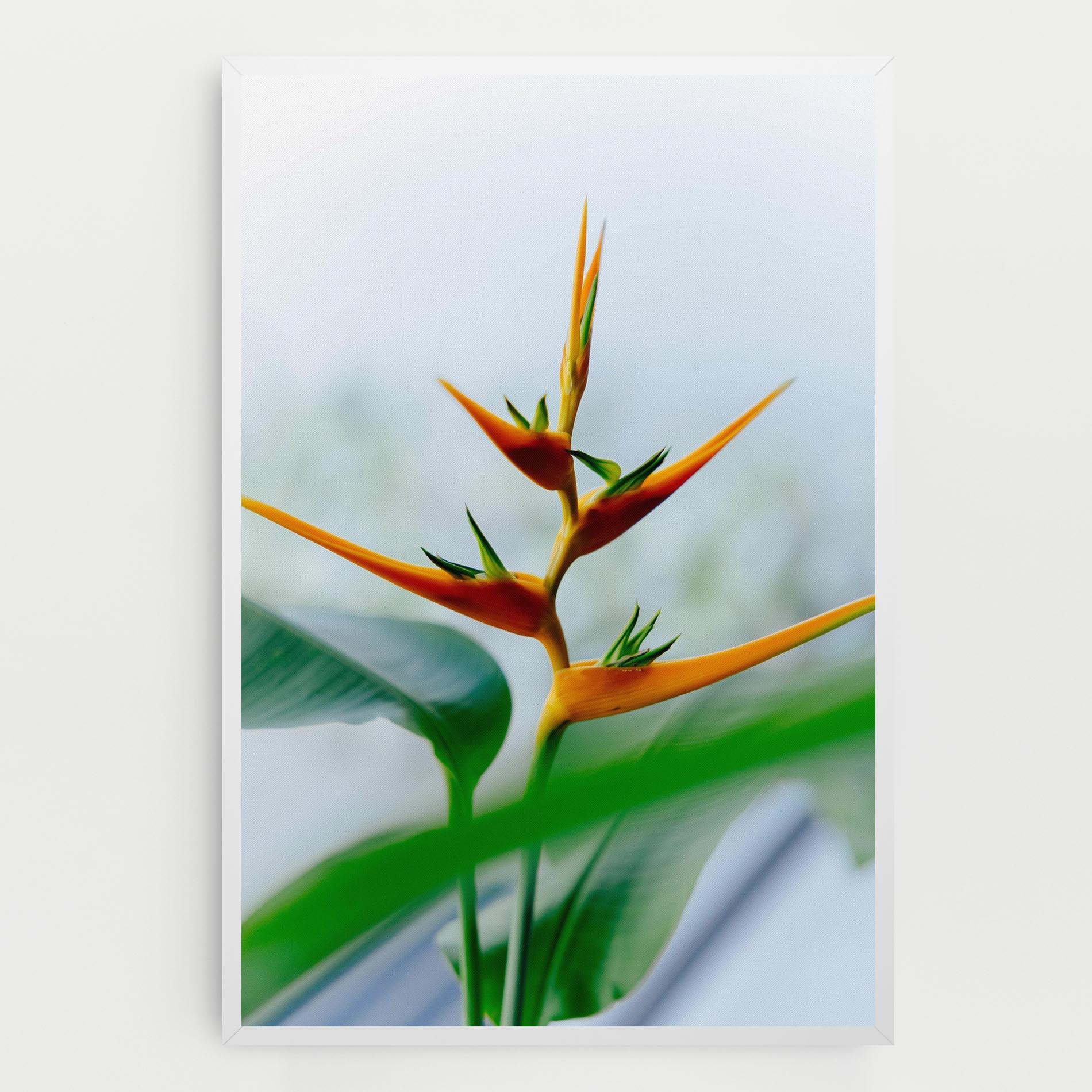 Leinwandbild Exotic Orange Green mockup 0