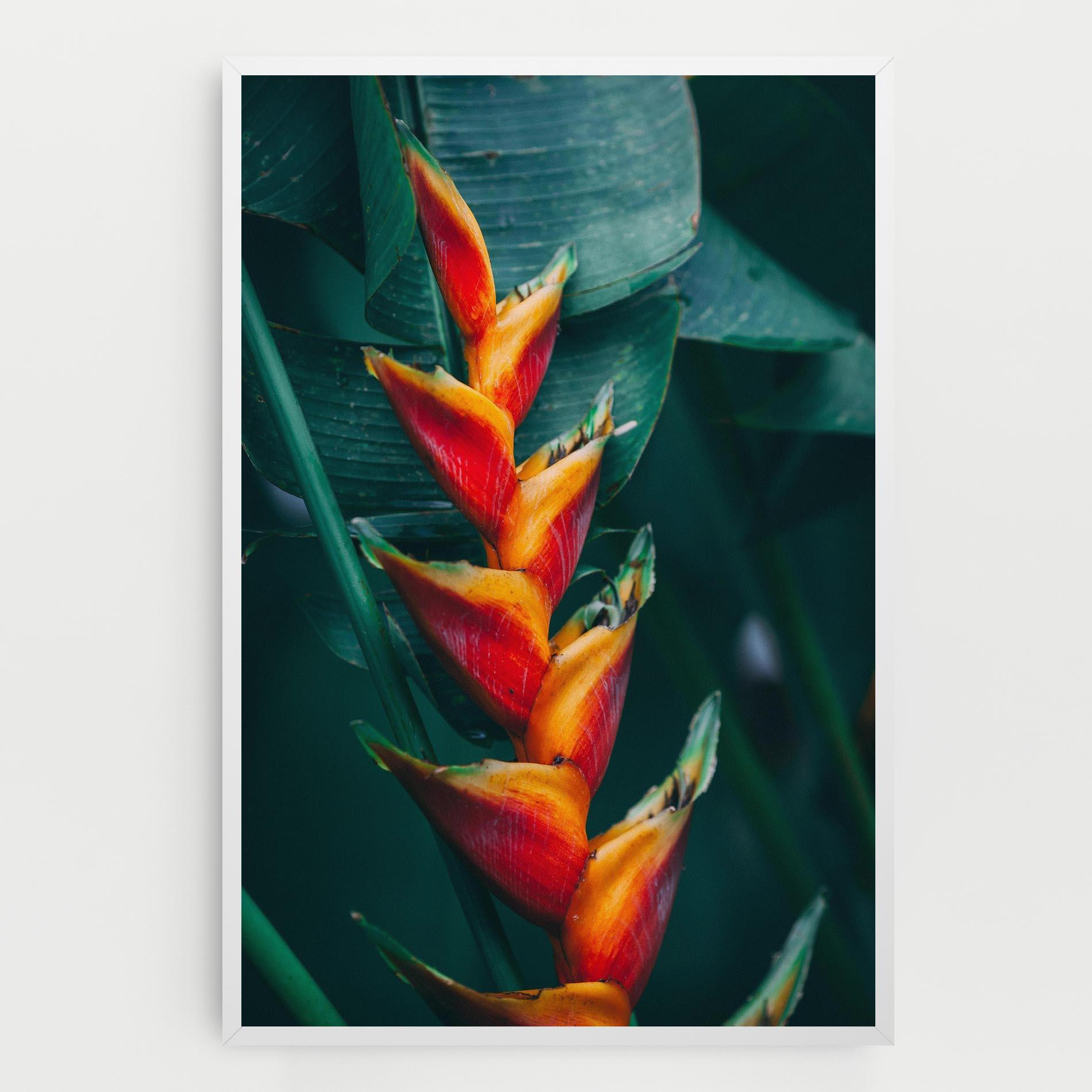 Leinwandbild Red Orange Exotic mockup 0