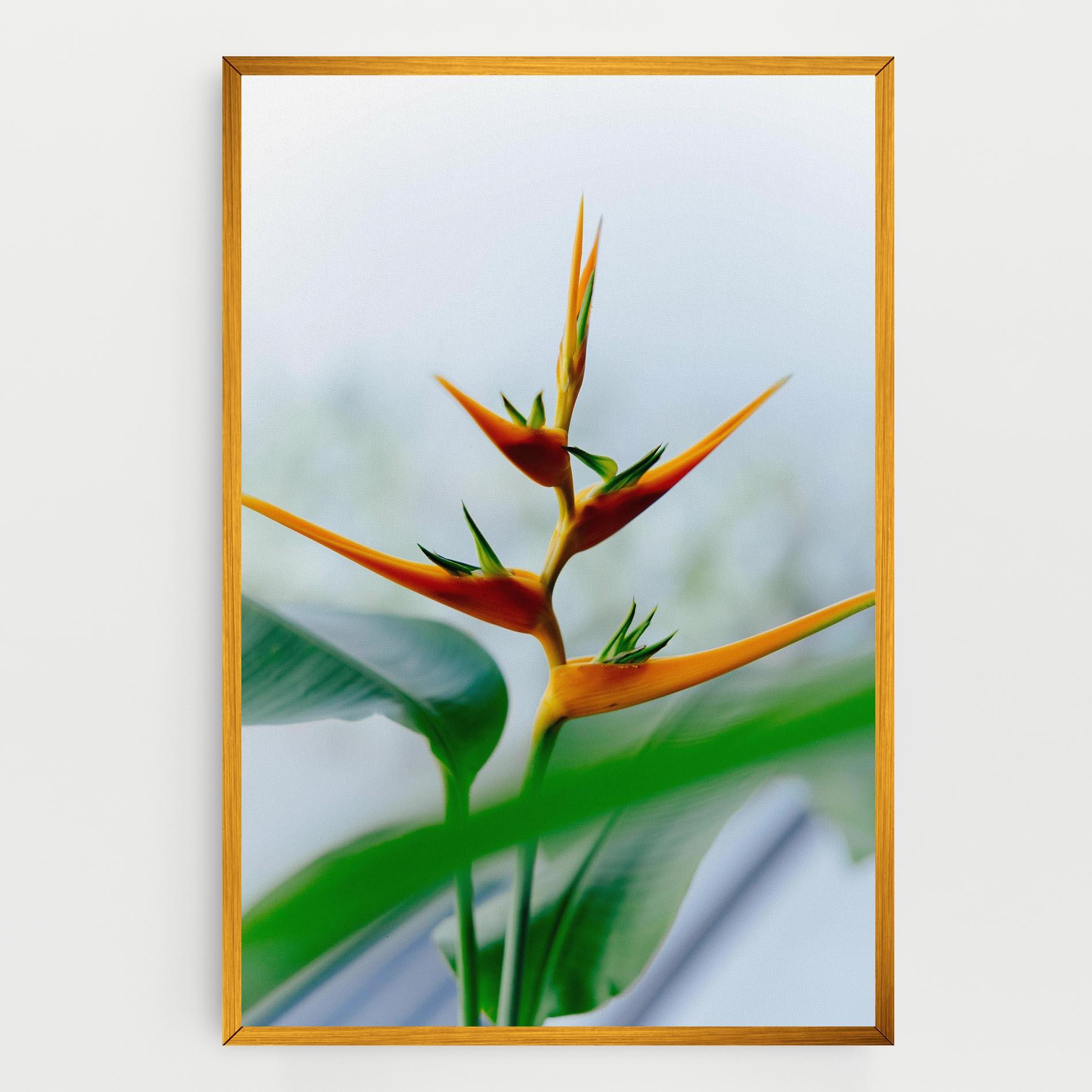 Leinwandbild Exotic Orange Green mockup 0