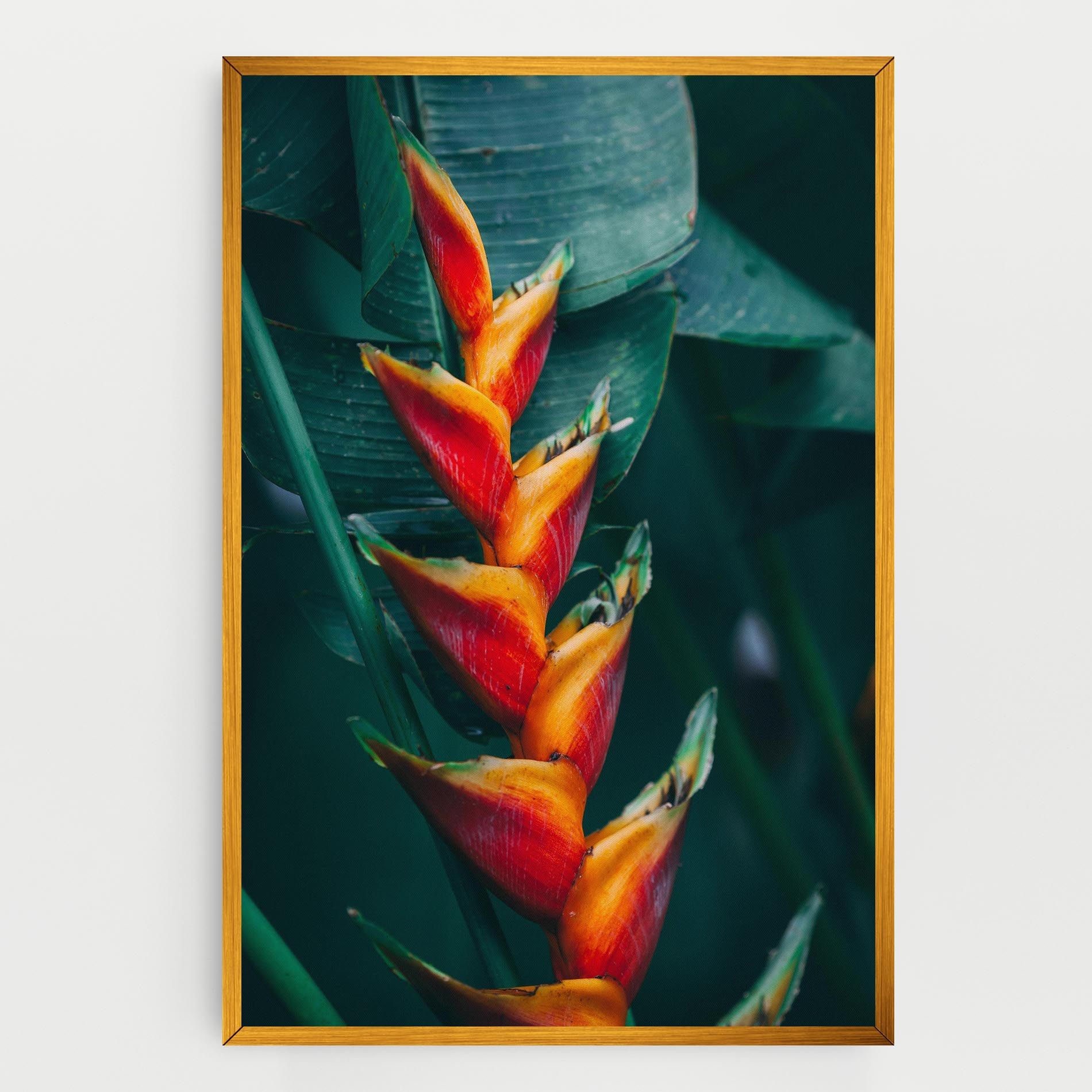 Red Orange Exotic mockup 0