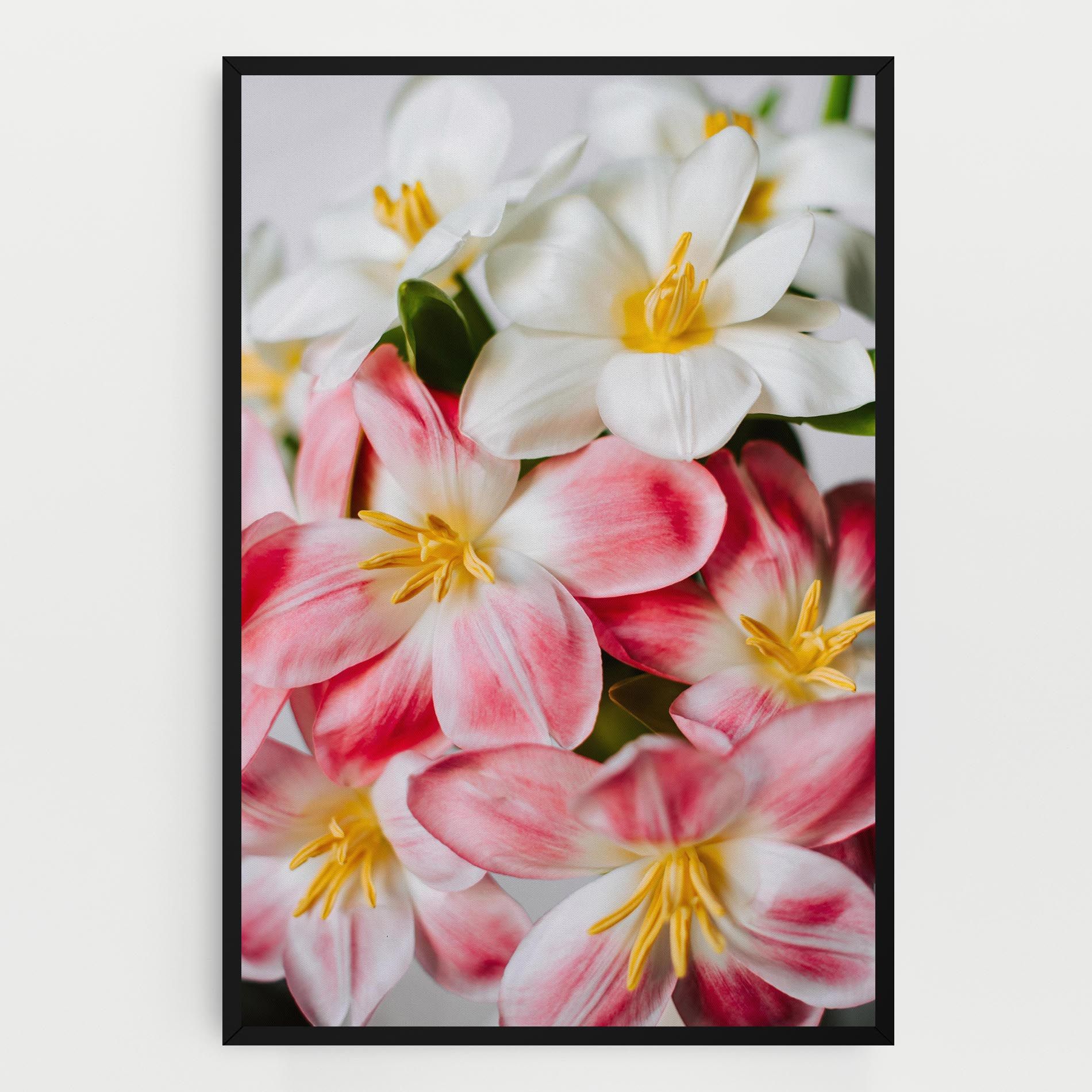 Beautiful Exotic Flower mockup 0
