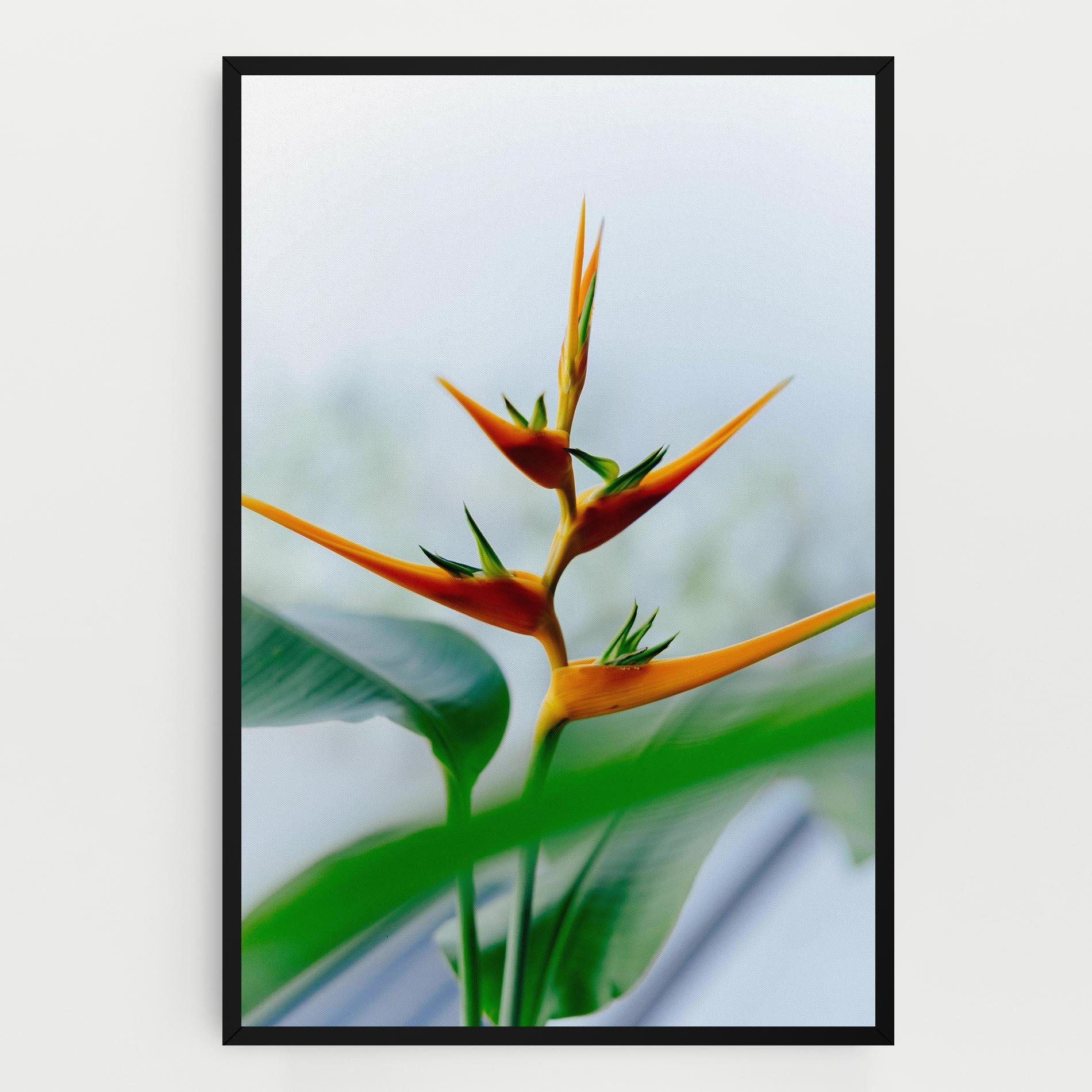 Leinwandbild Exotic Orange Green mockup 0