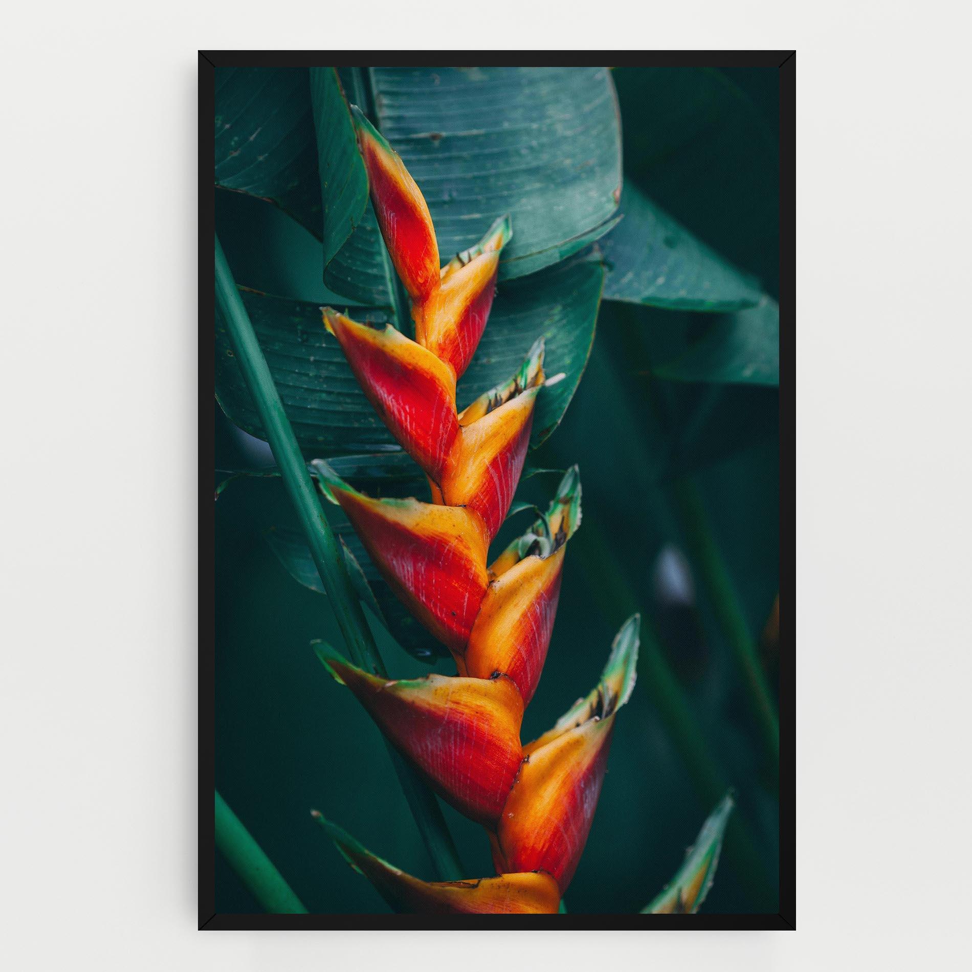 Leinwandbild Red Orange Exotic mockup 0