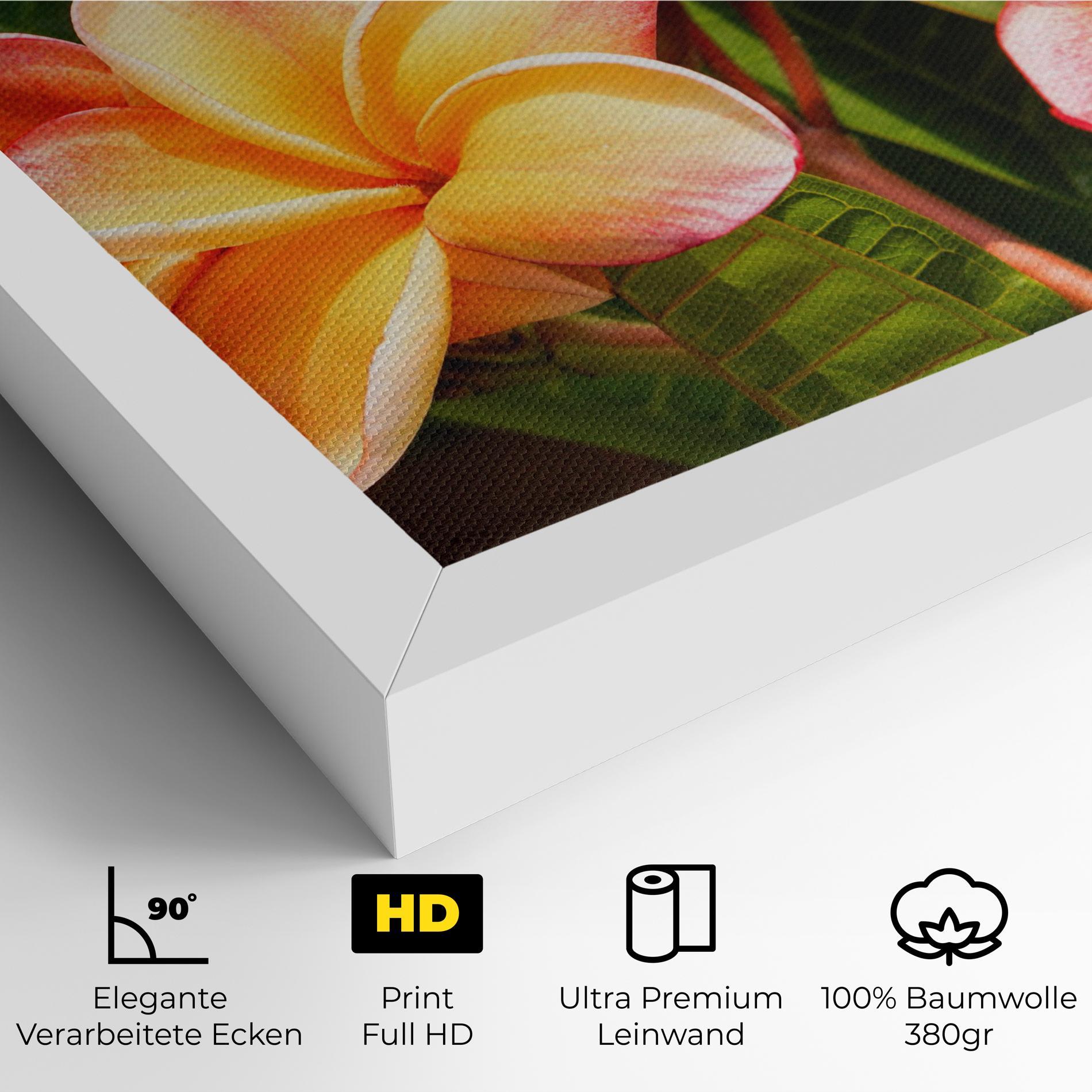 Leinwandbild Pretty Plumeria mockup 4