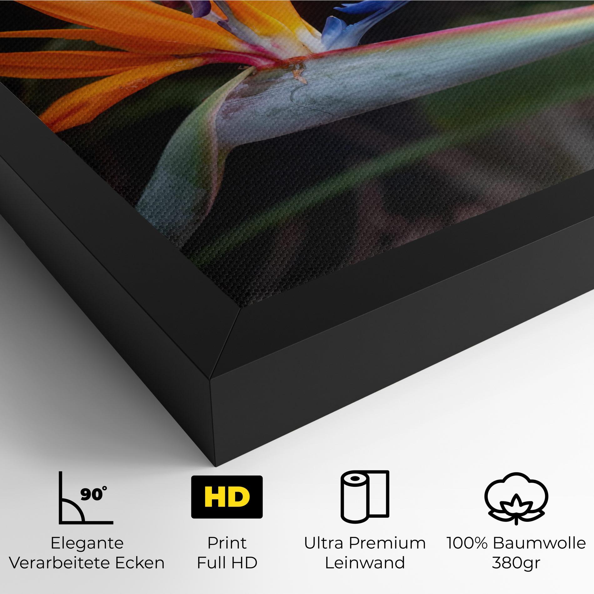 Leinwandbild Paradise Plant mockup 4