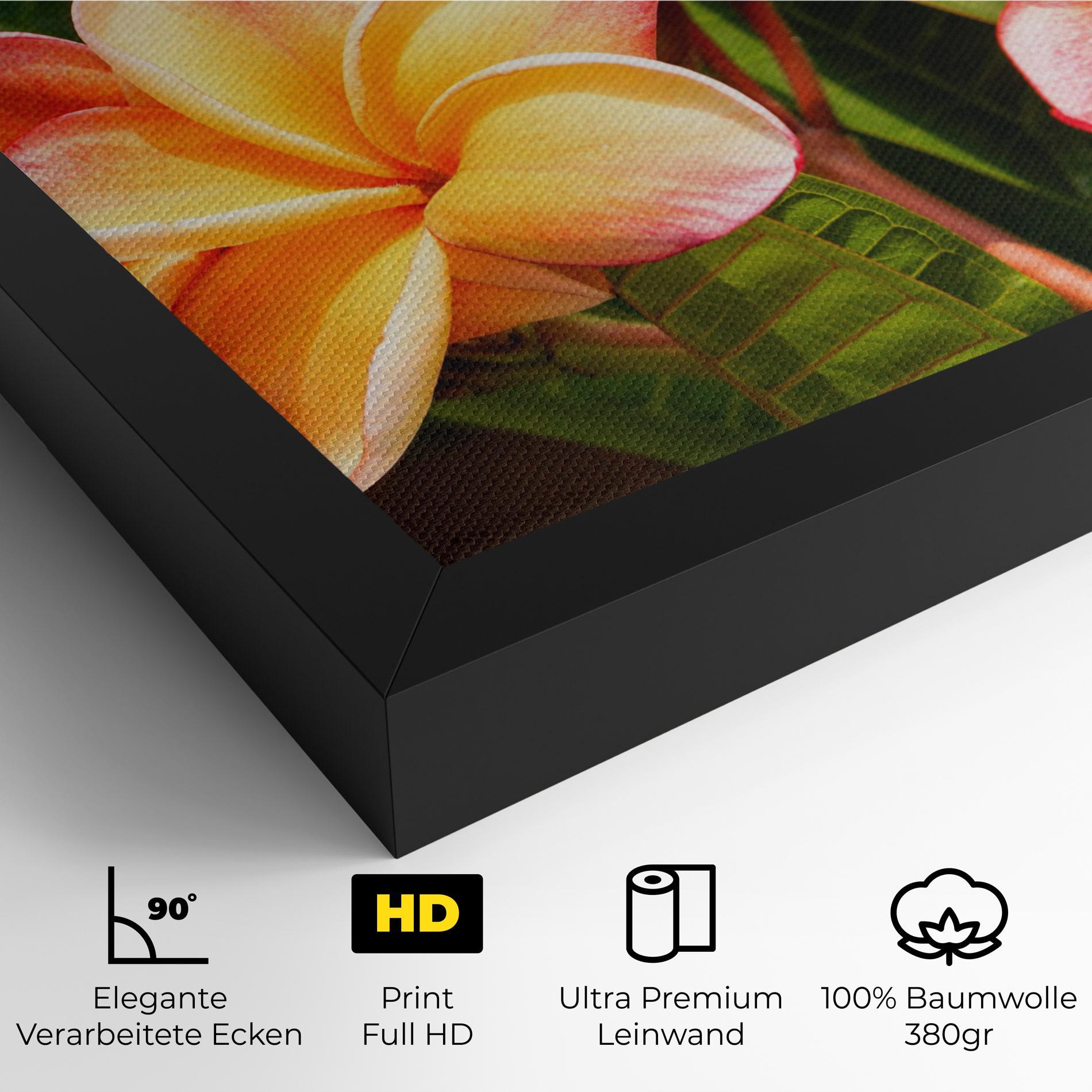 Leinwandbild Pretty Plumeria mockup 4