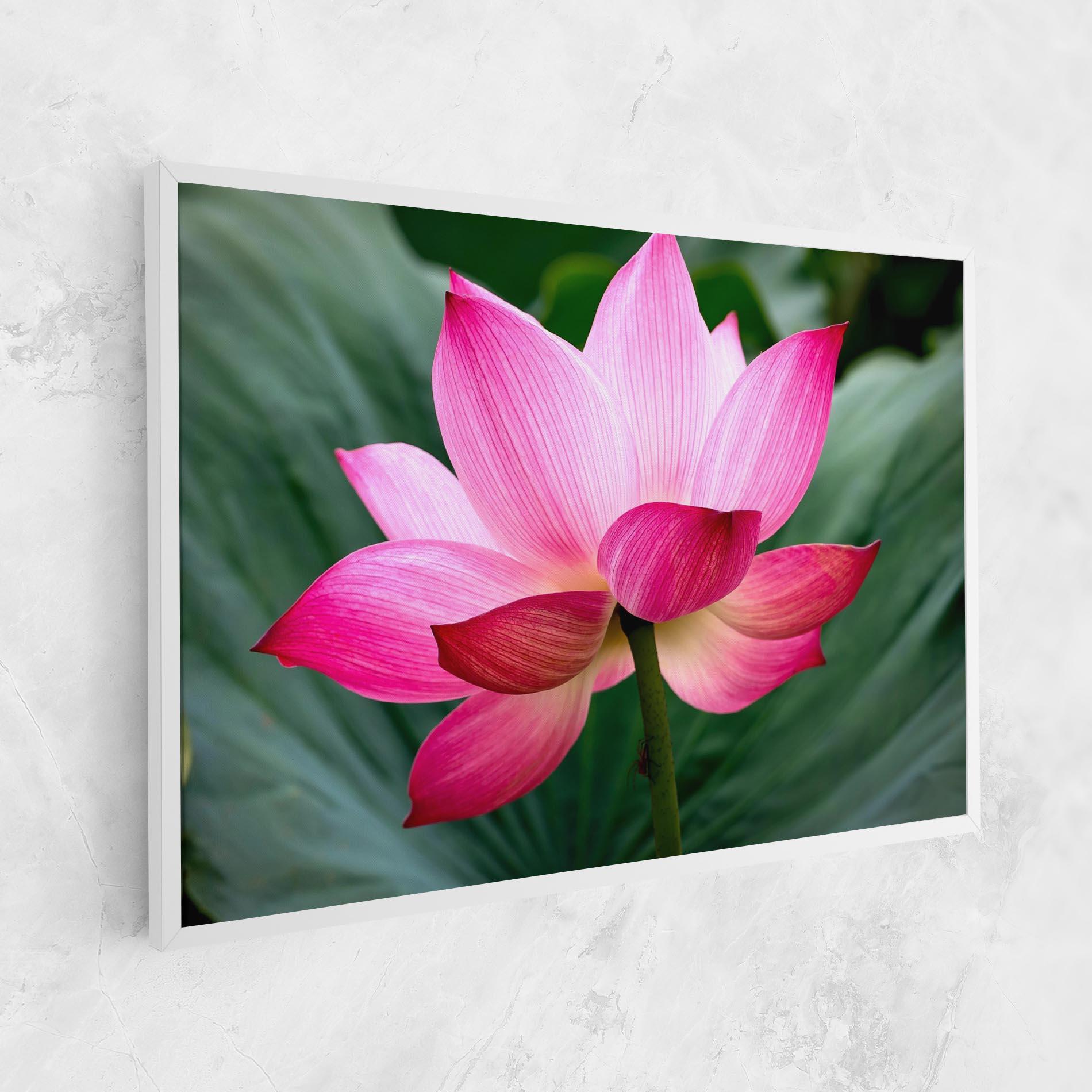 Leinwandbild Beautiful Pink Exotic mockup 1