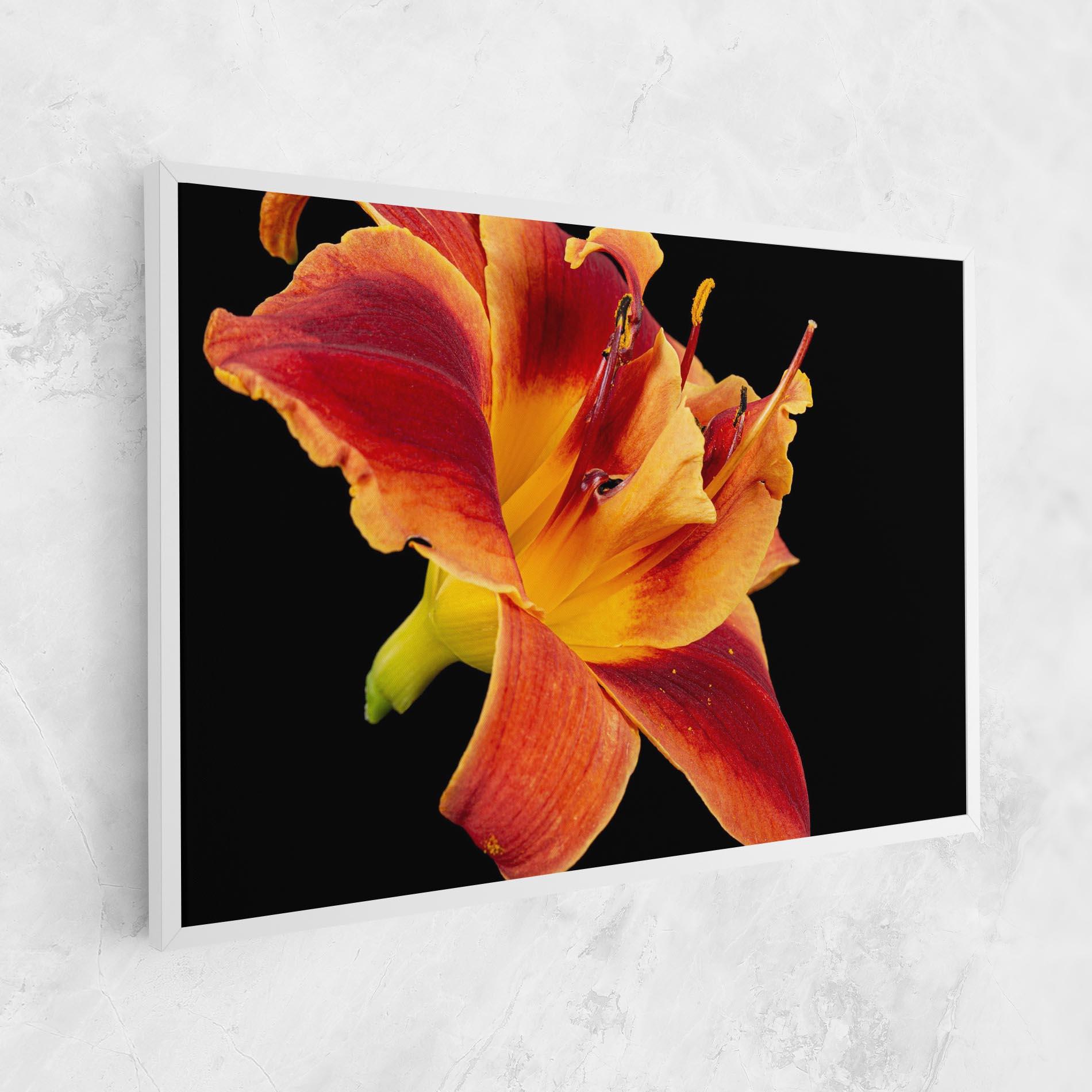 Leinwandbild Exotic Orange Red mockup 1