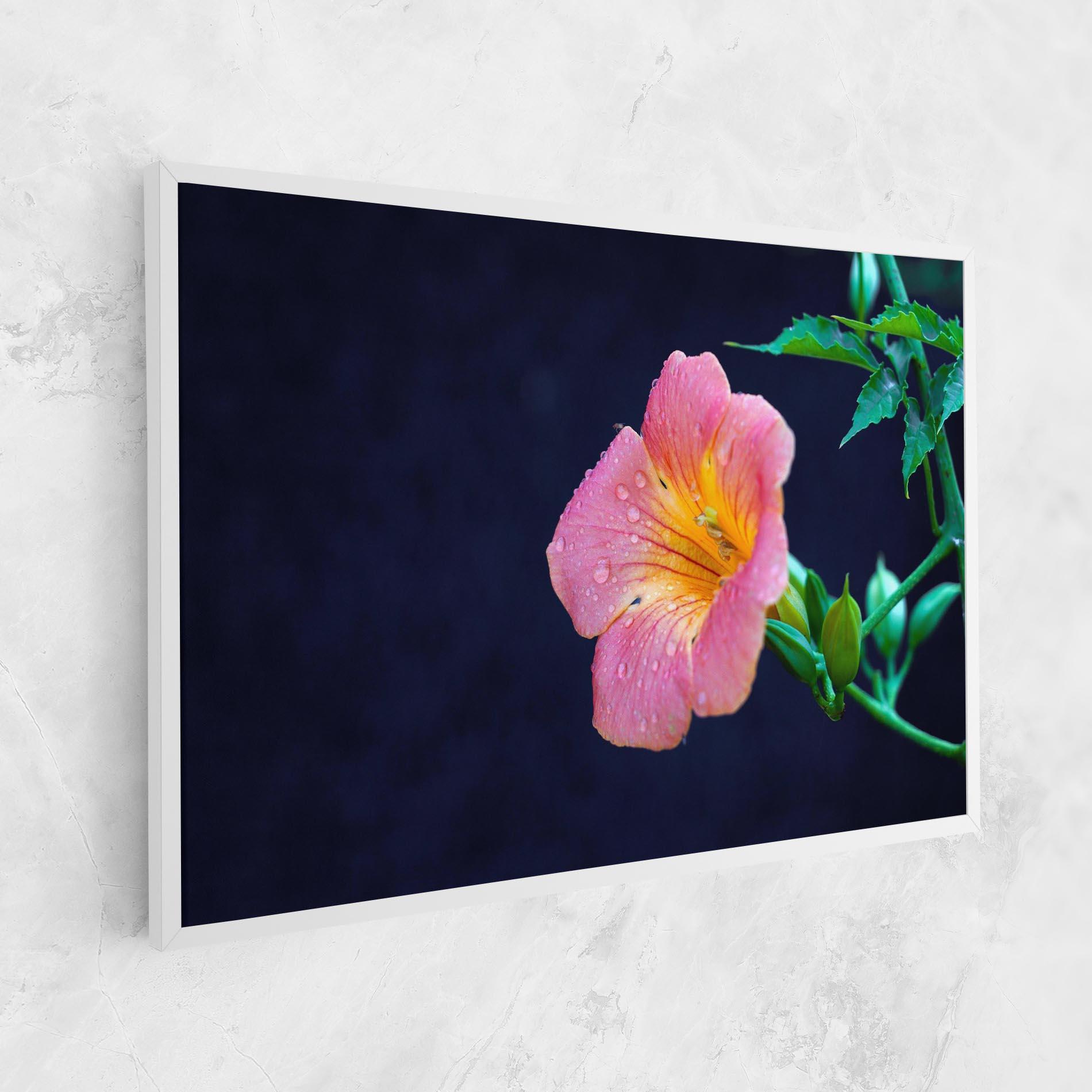 Leinwandbild Exotic Pink Plant mockup 1