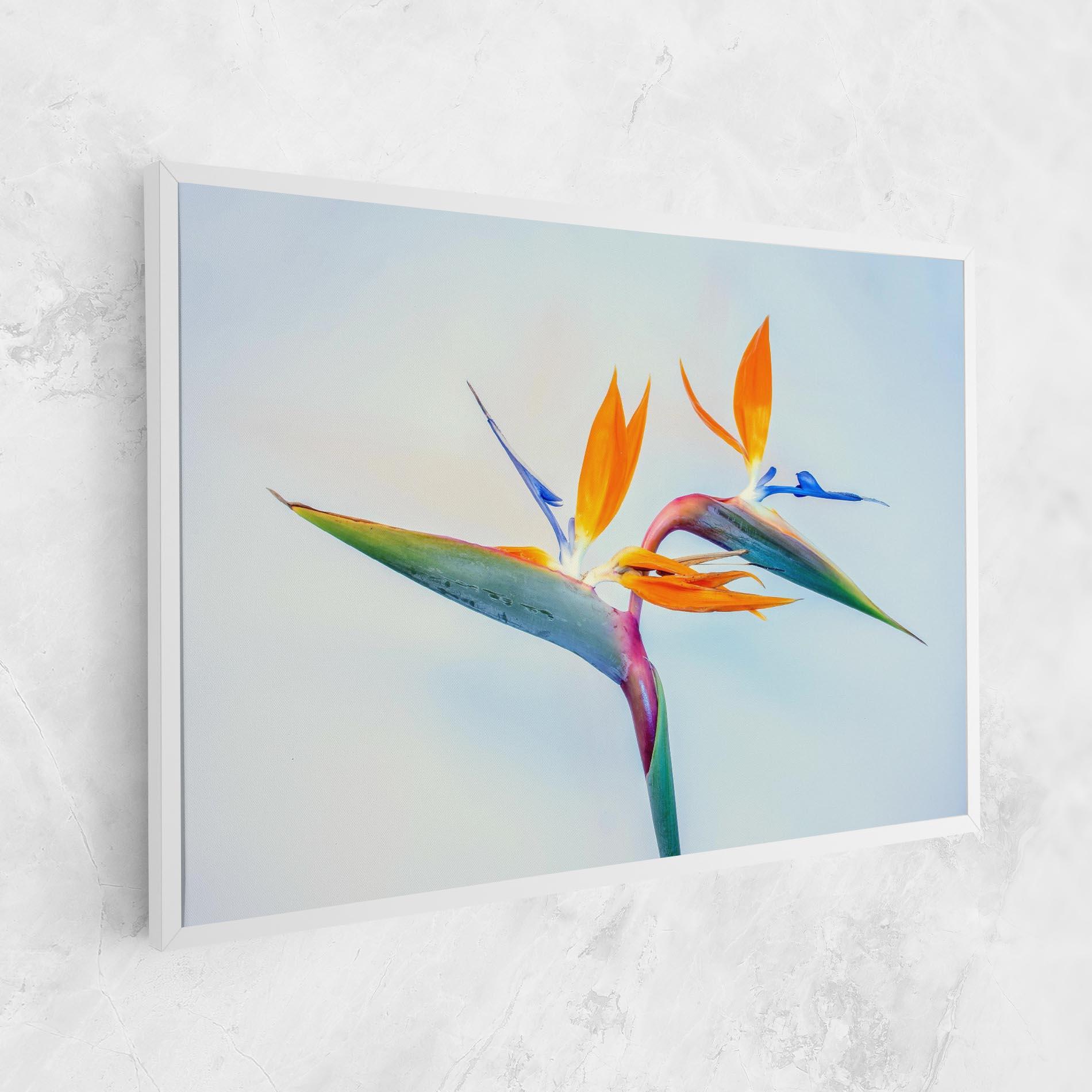 Leinwandbild Green Orange Exotic mockup 1