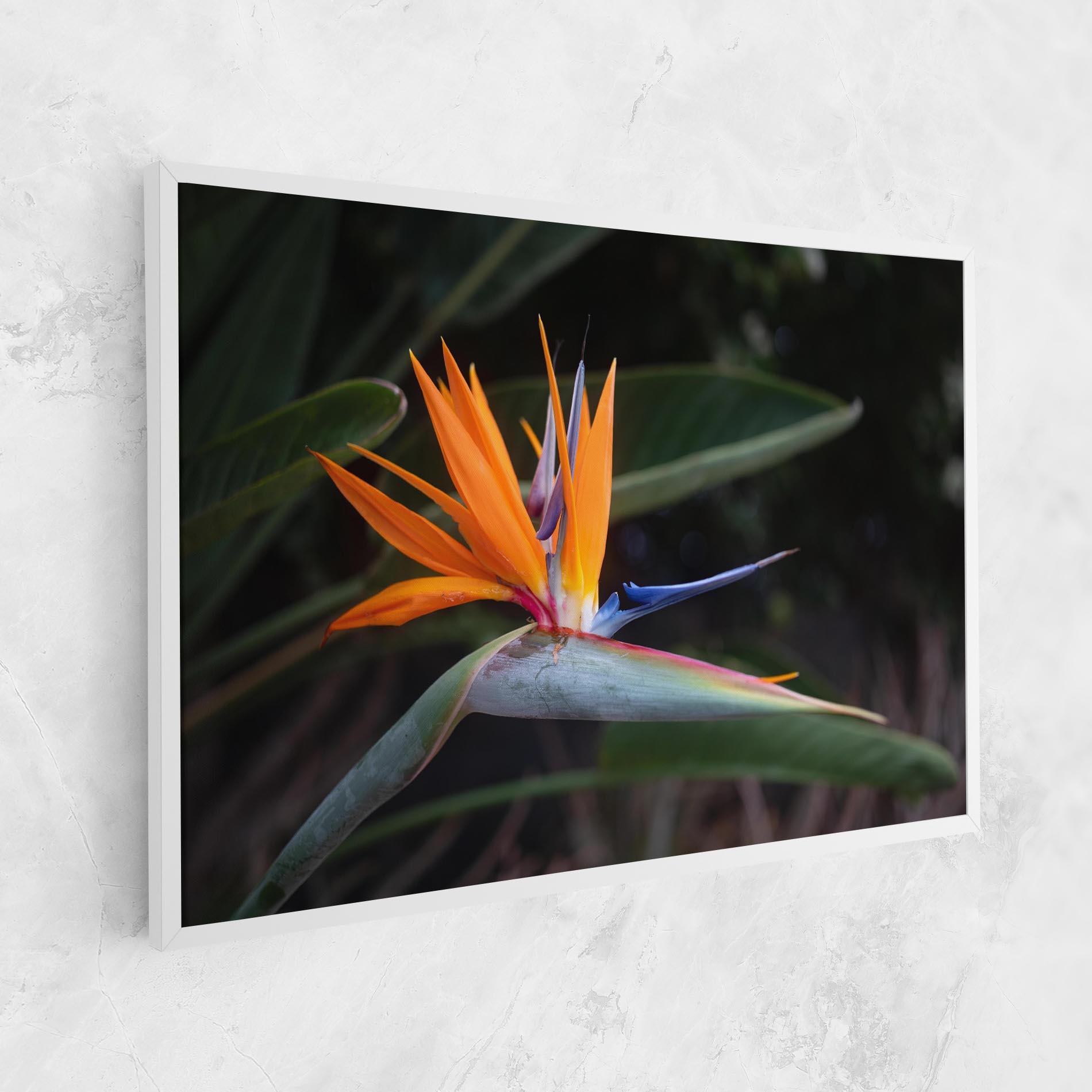 Leinwandbild Paradise Plant mockup 1