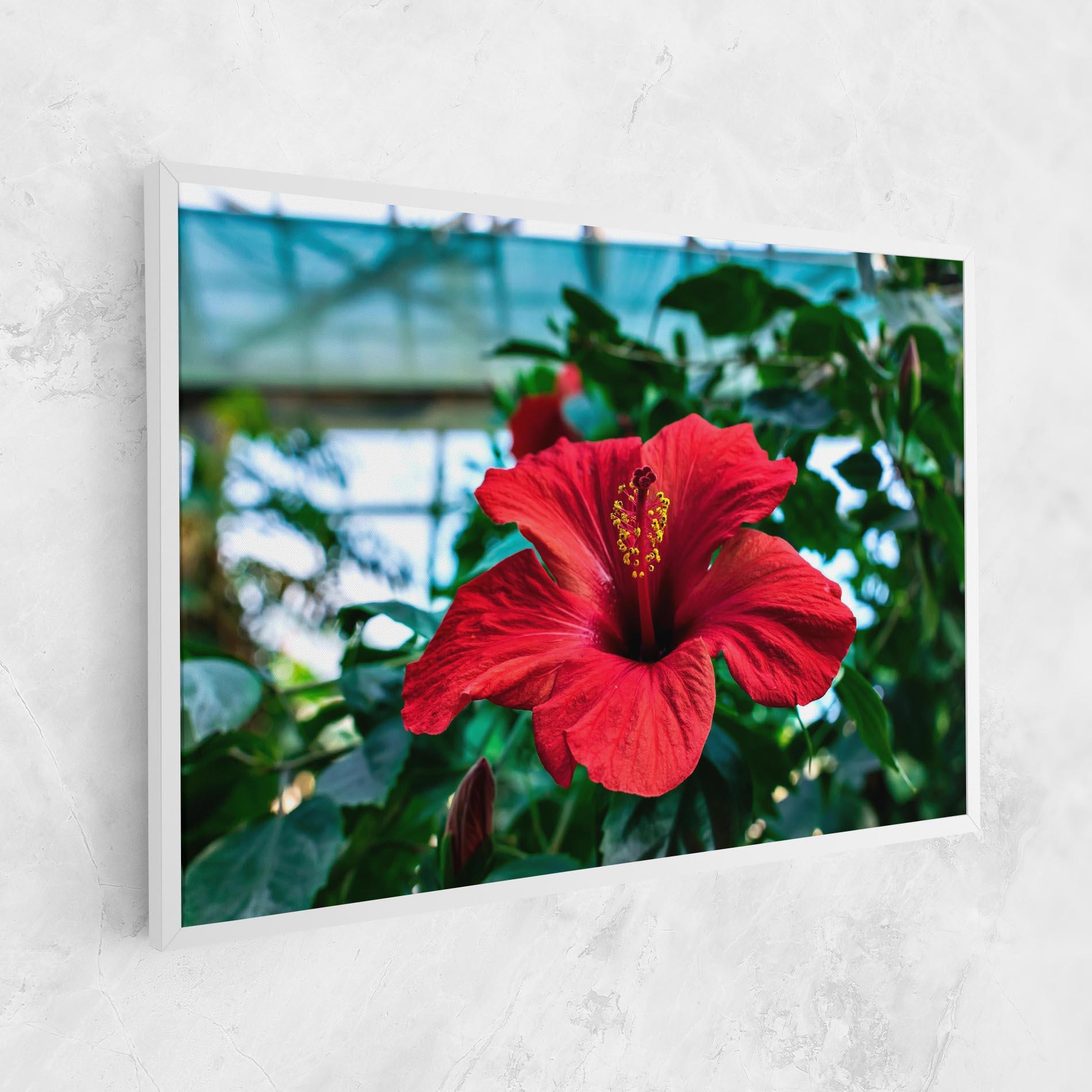 Leinwandbild Red Exotic Plant mockup 1