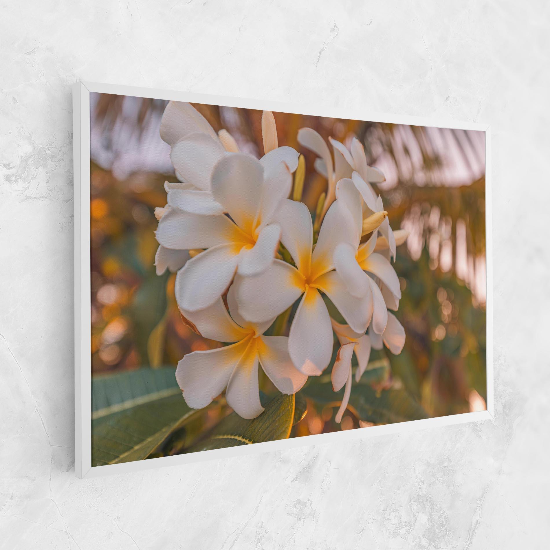 Leinwandbild White Plumeria mockup 1