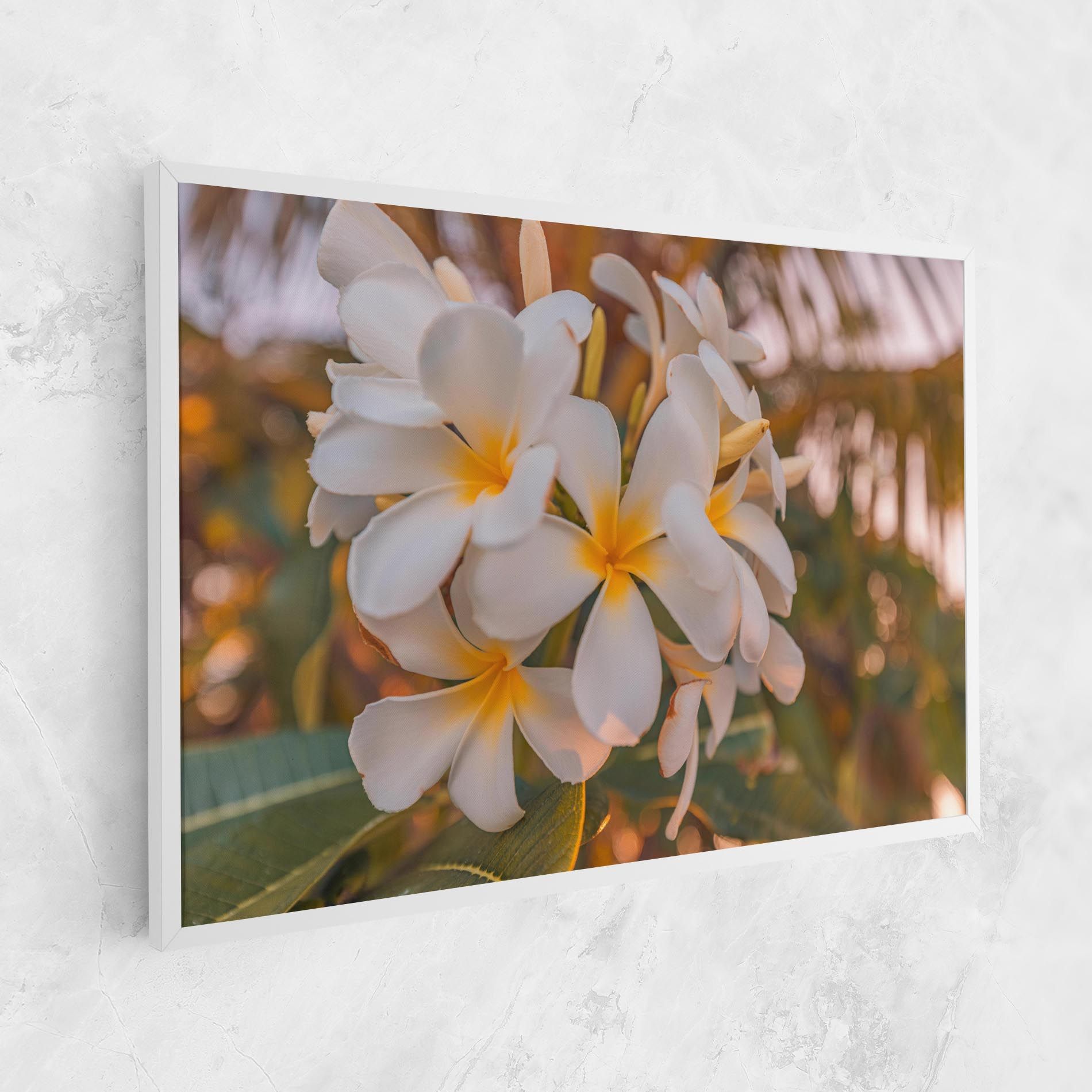 White Plumeria mockup 1
