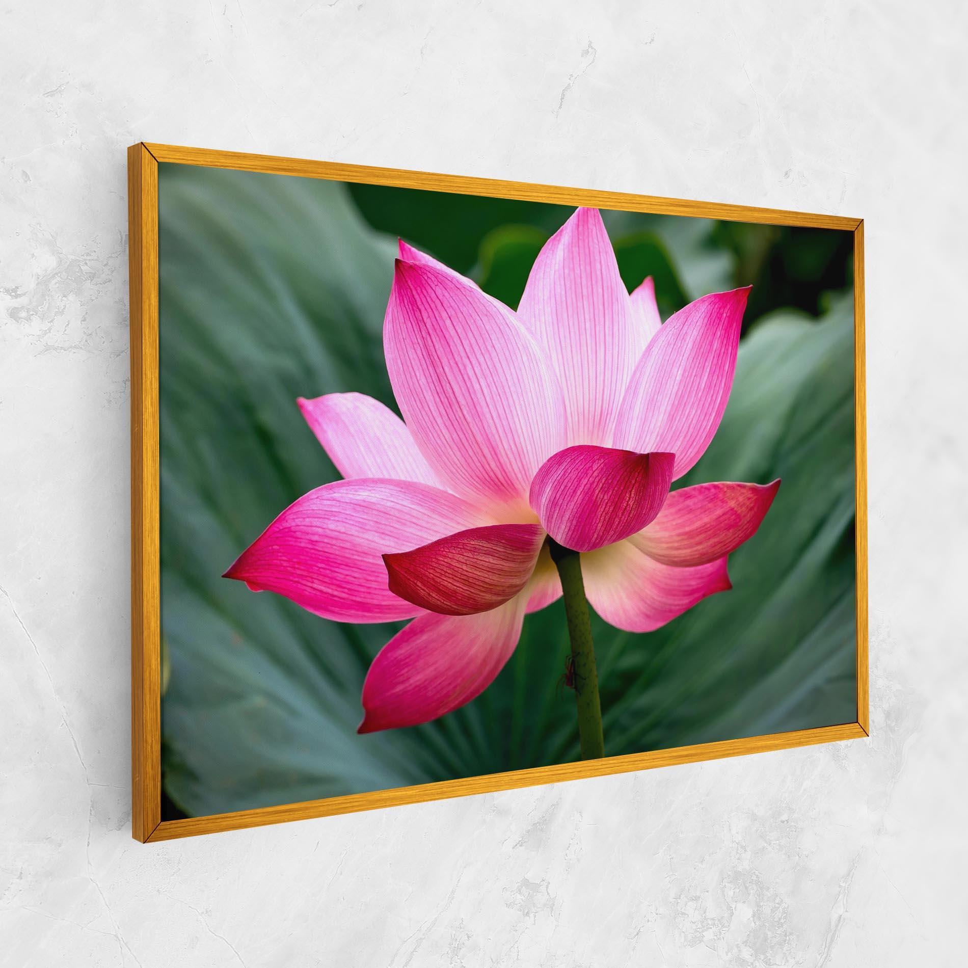 Leinwandbild Beautiful Pink Exotic mockup 1