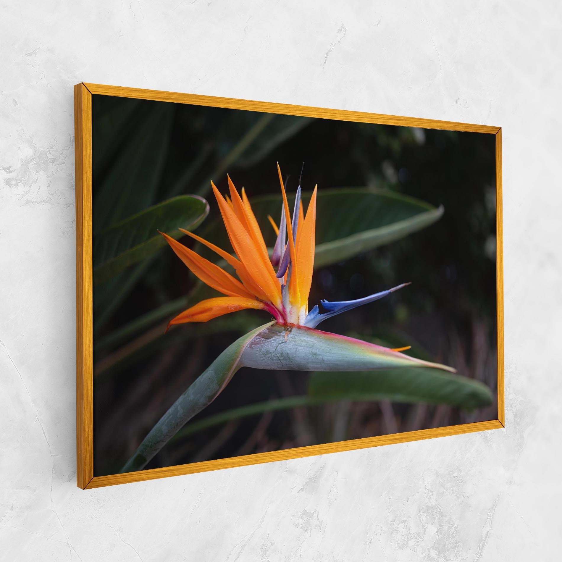 Leinwandbild Paradise Plant mockup 1