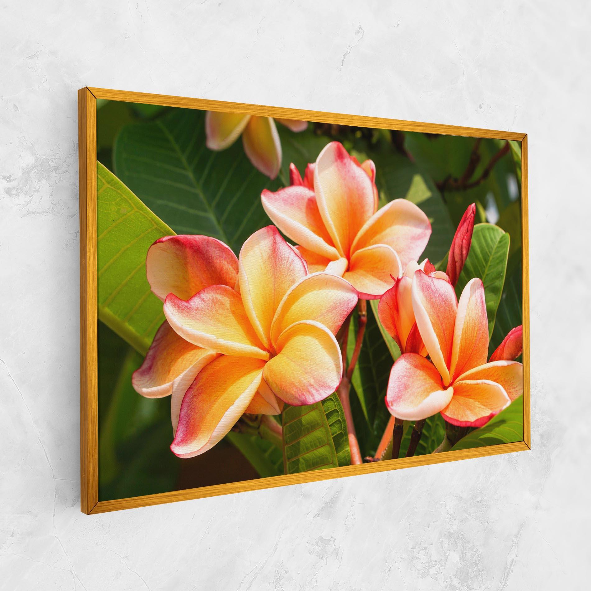 Leinwandbild Pretty Plumeria mockup 1