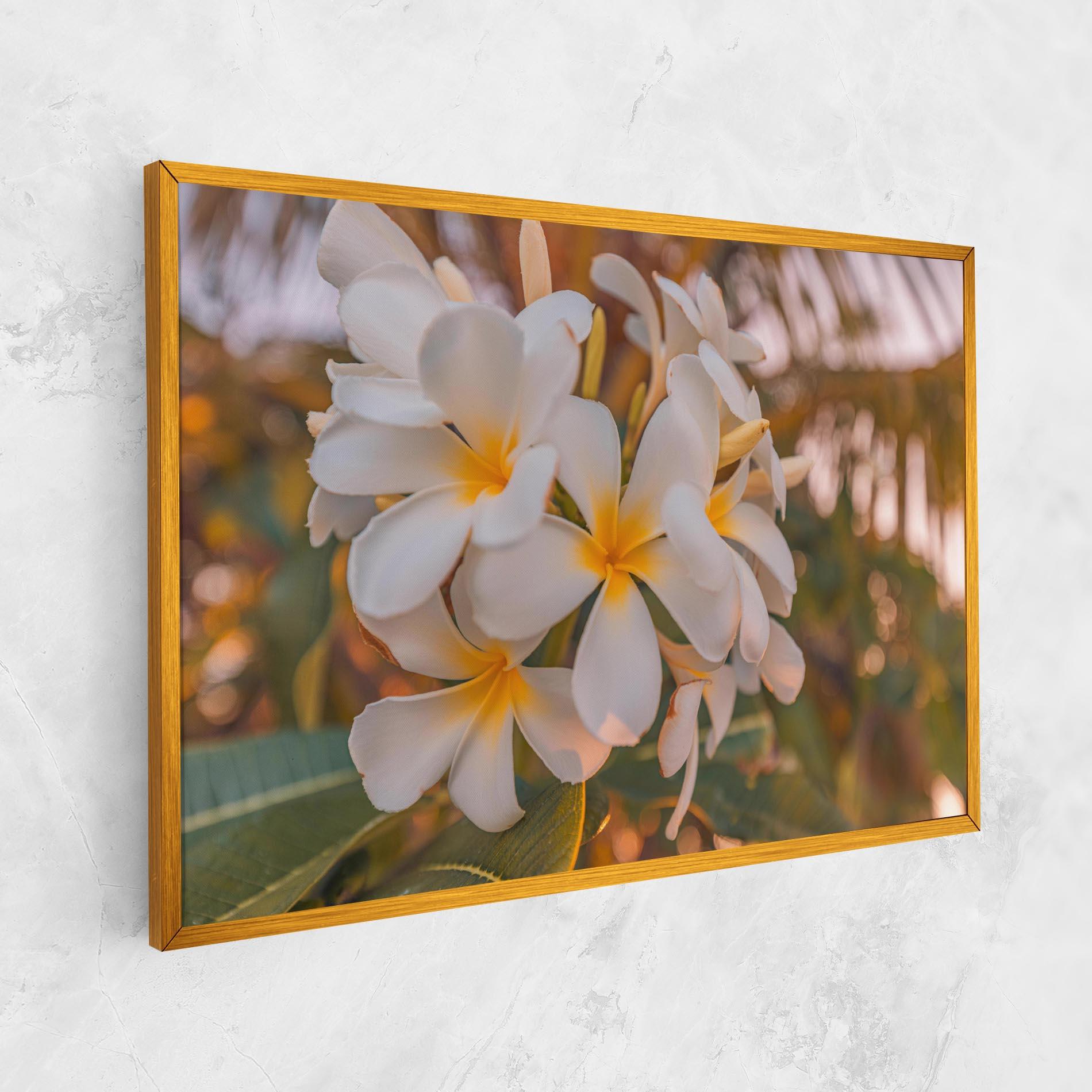 Leinwandbild White Plumeria mockup 1