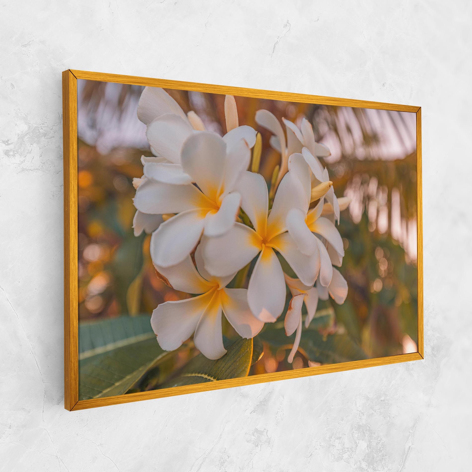 White Plumeria mockup 1