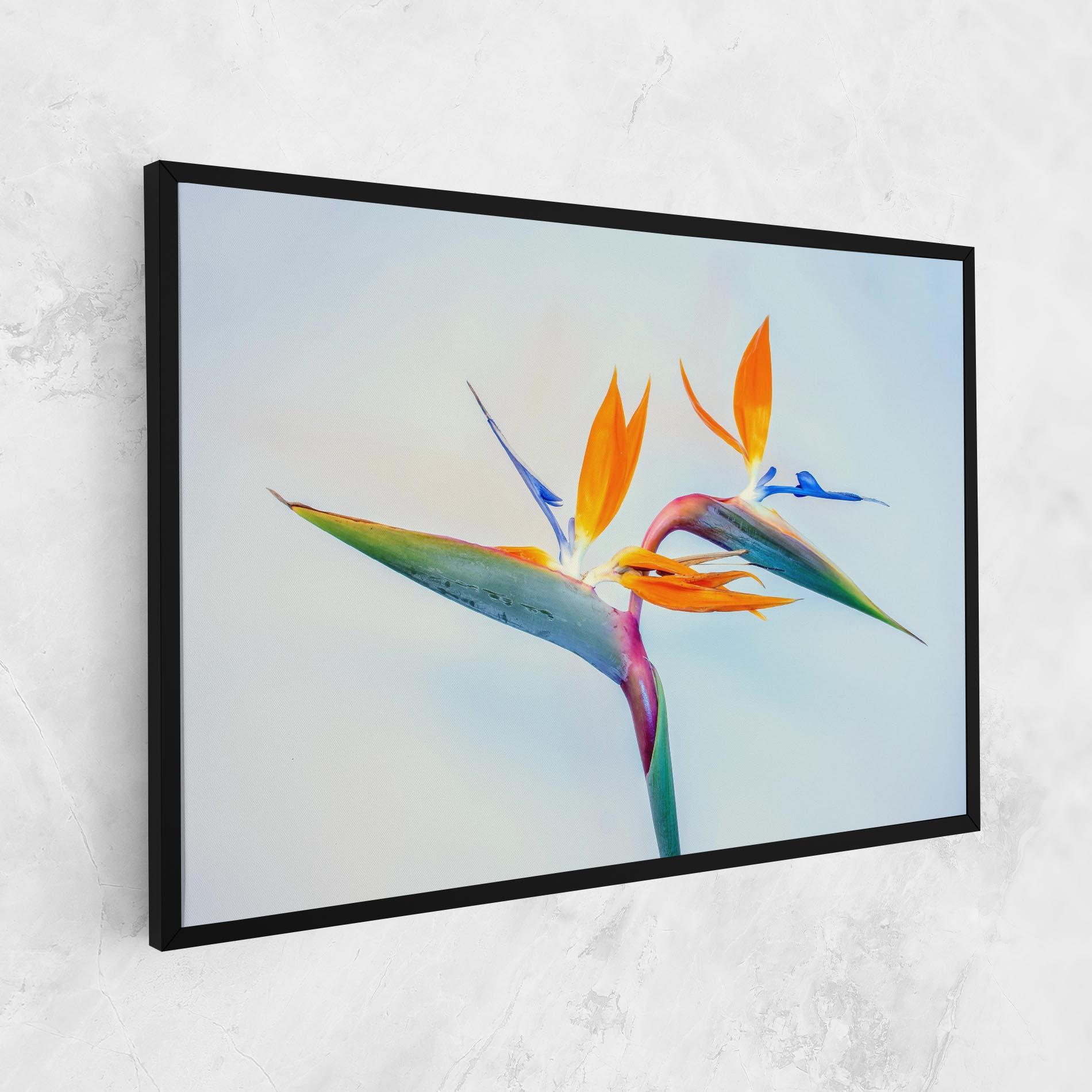 Leinwandbild Green Orange Exotic mockup 1