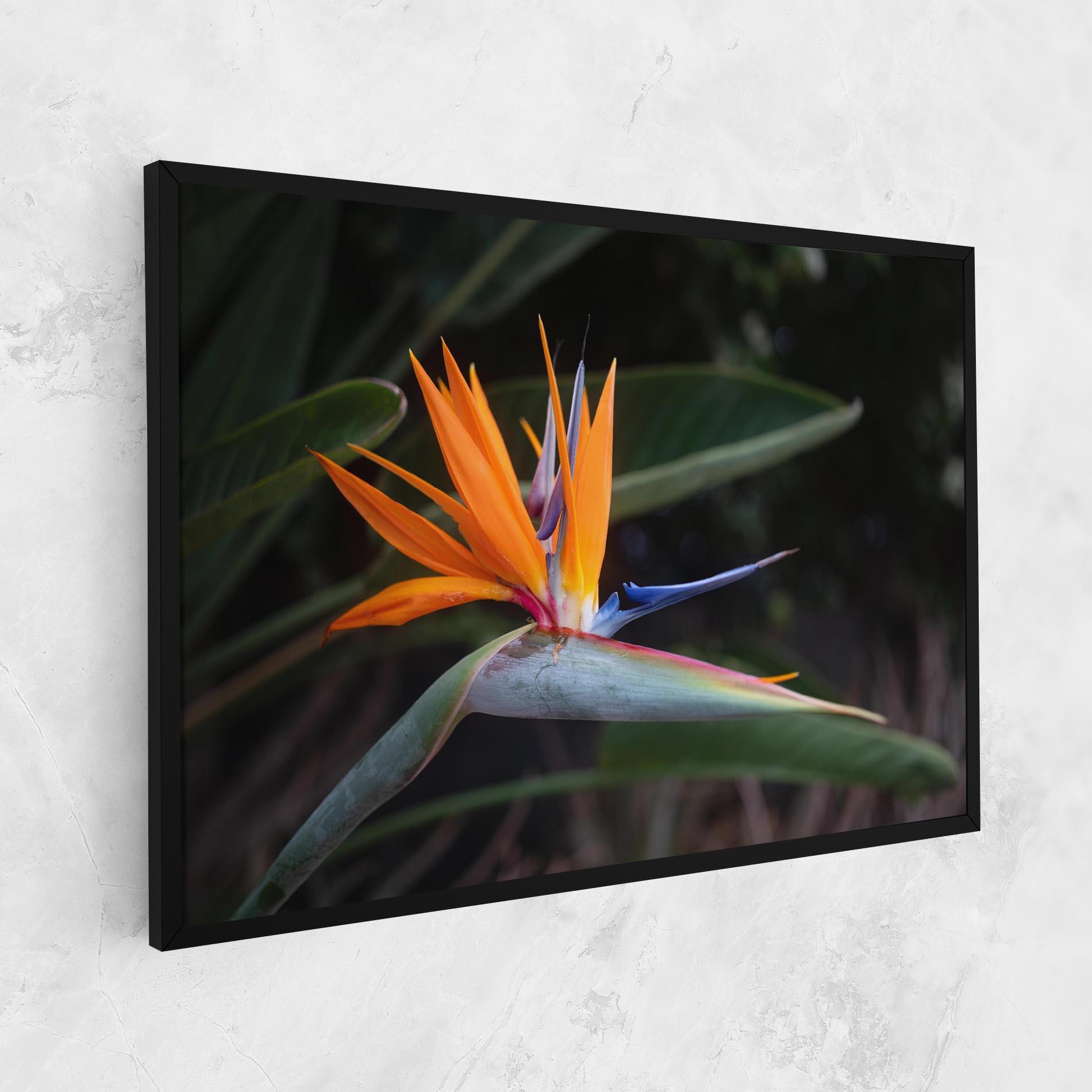 Leinwandbild Paradise Plant mockup 1