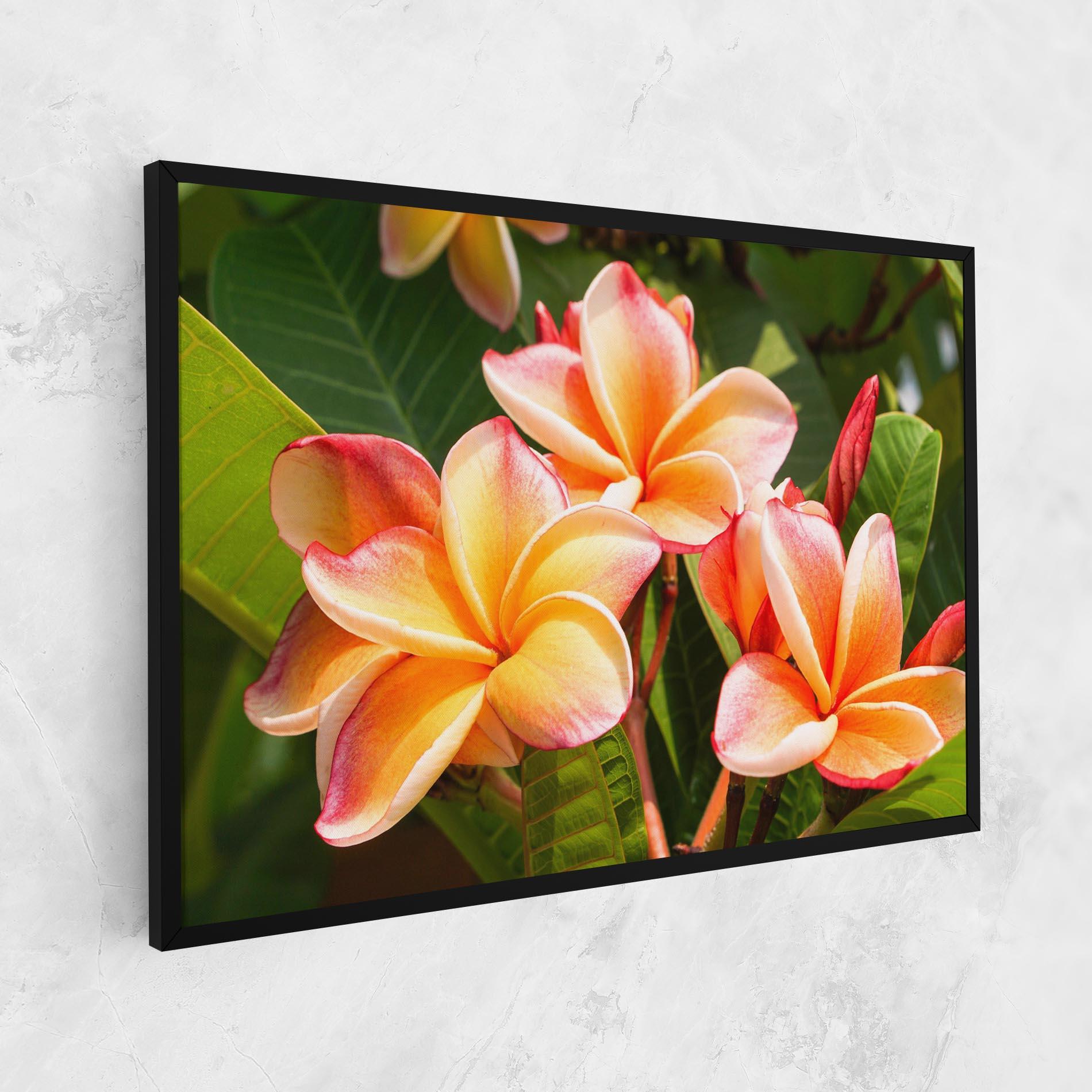 Leinwandbild Pretty Plumeria mockup 1