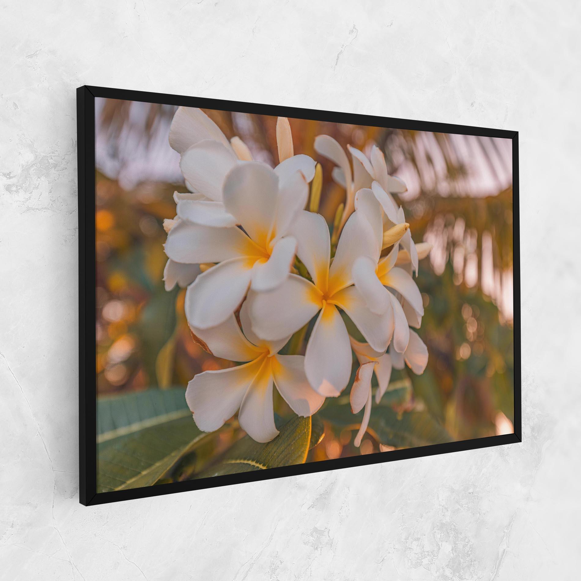 Leinwandbild White Plumeria mockup 1