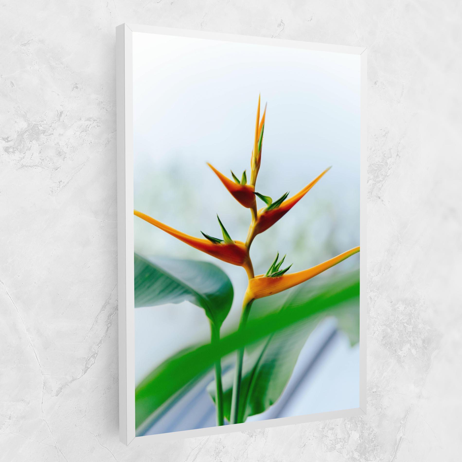 Leinwandbild Exotic Orange Green mockup 1
