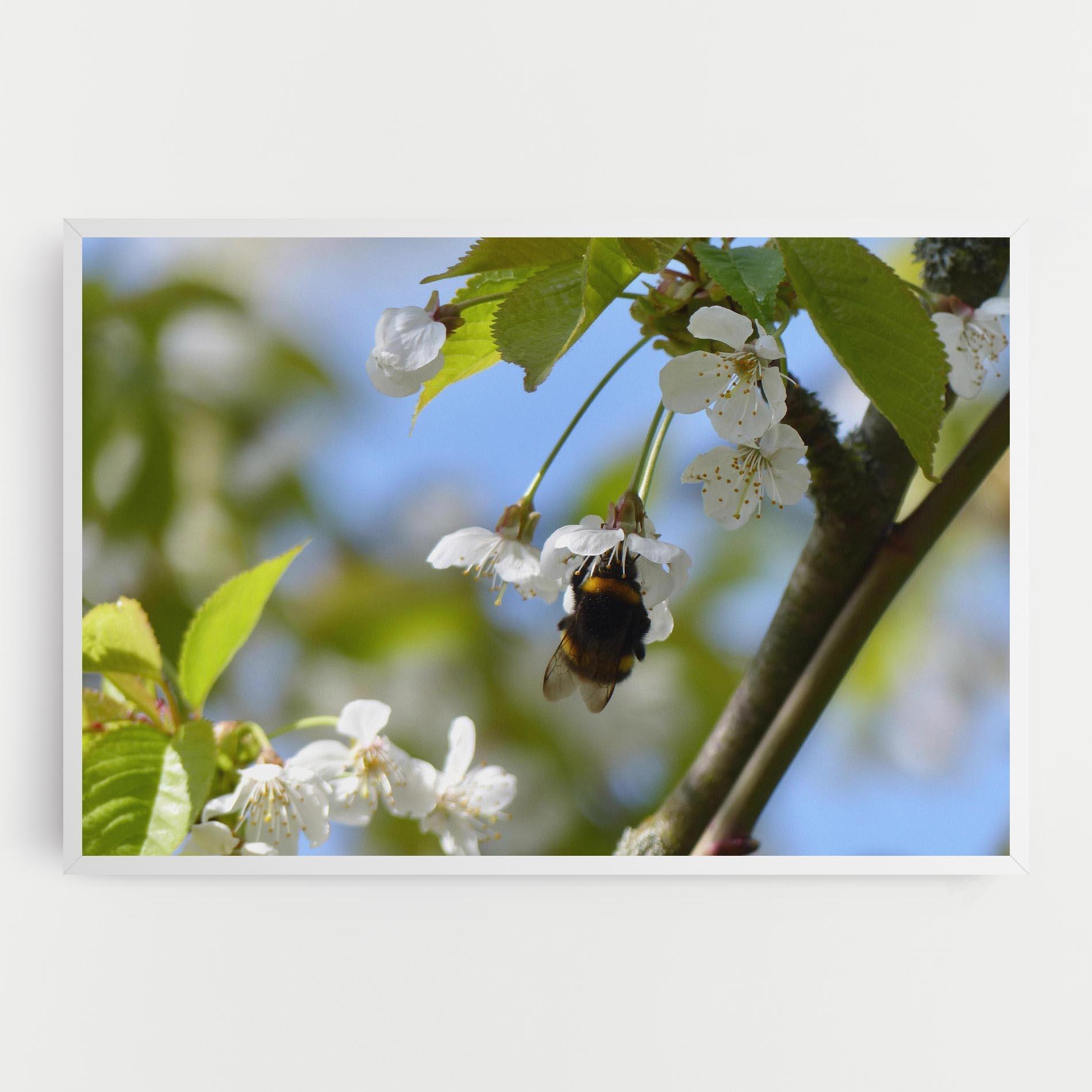 Leinwandbild Bee Wild Tree mockup 0