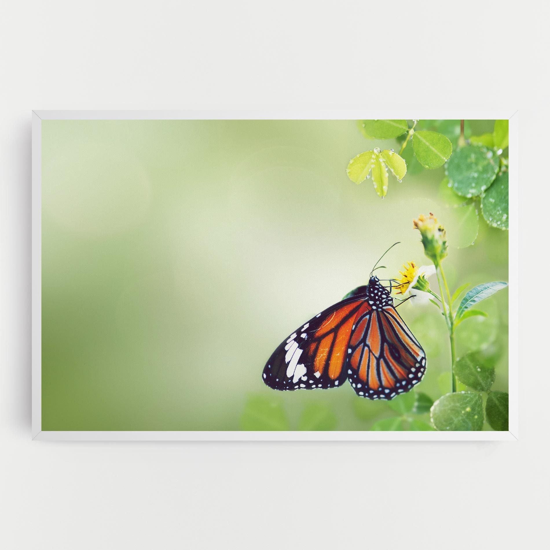Butterfly Wild Plant mockup 0