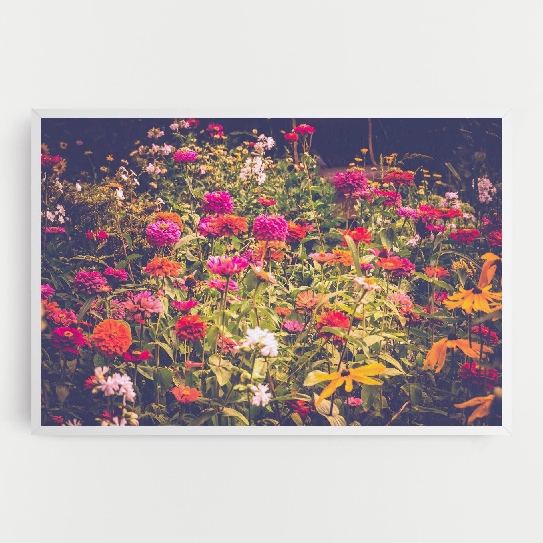 Colorful Wild Field mockup 0