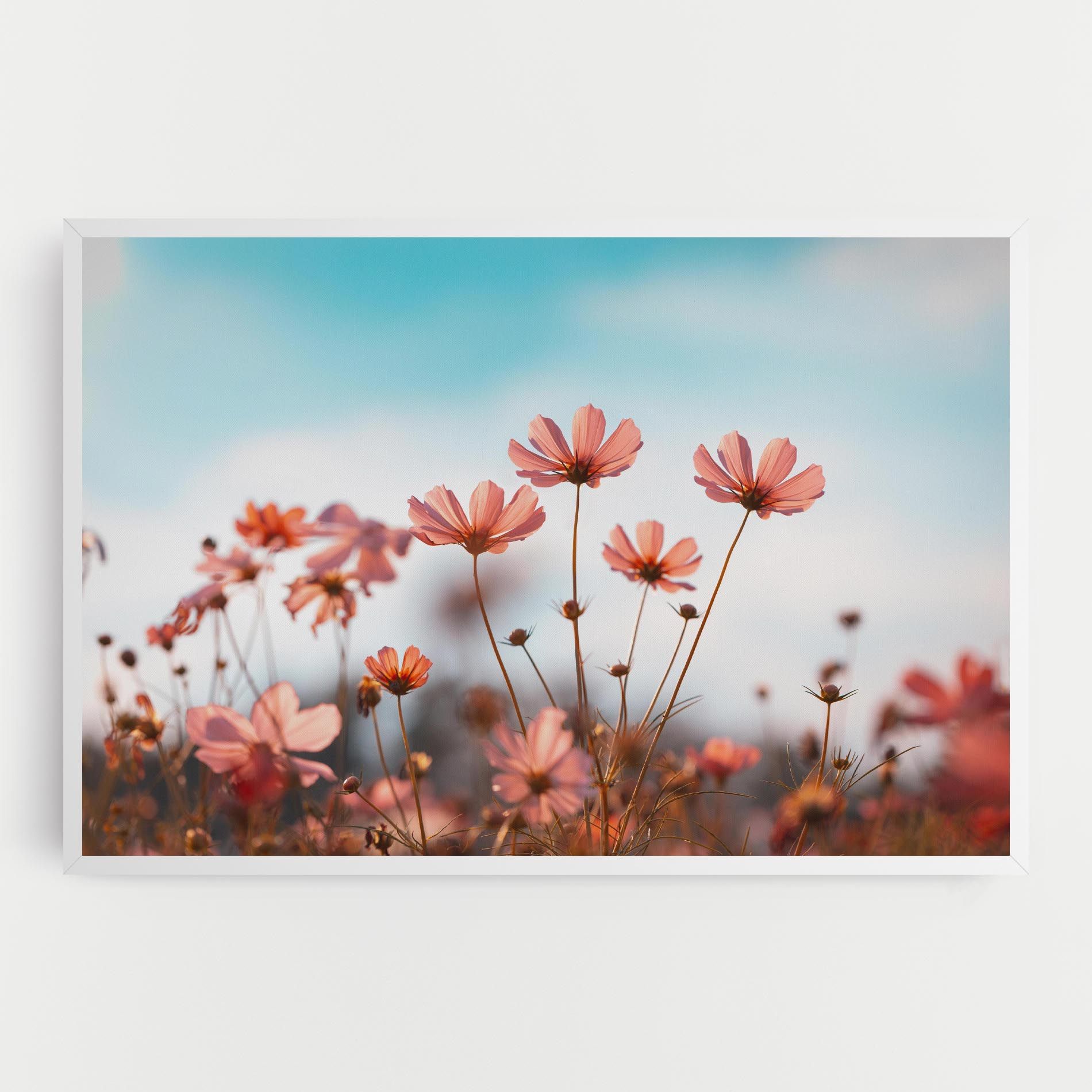 Cosmos Flowers Beautiful mockup 0