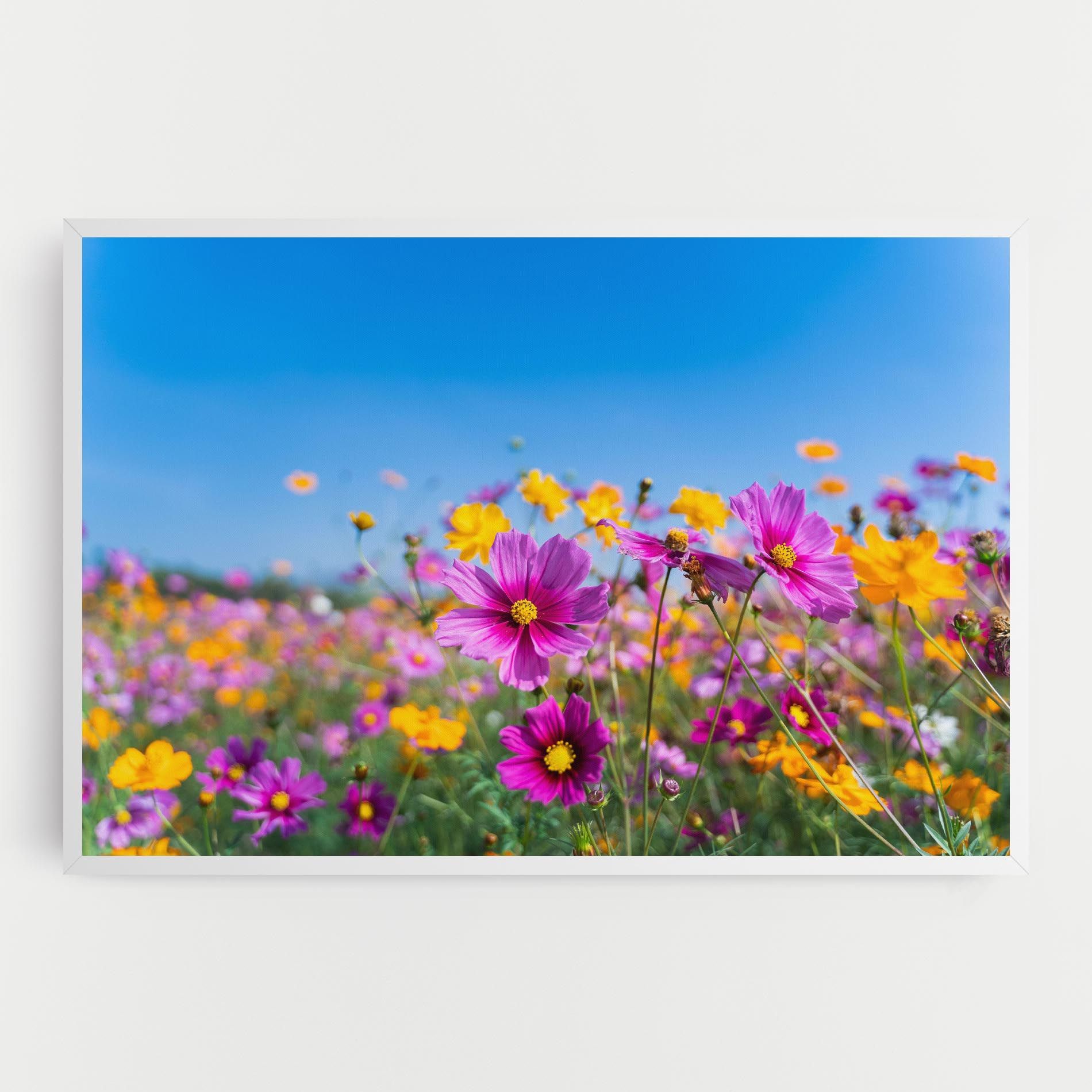Cosmos Flowers Grassland mockup 0