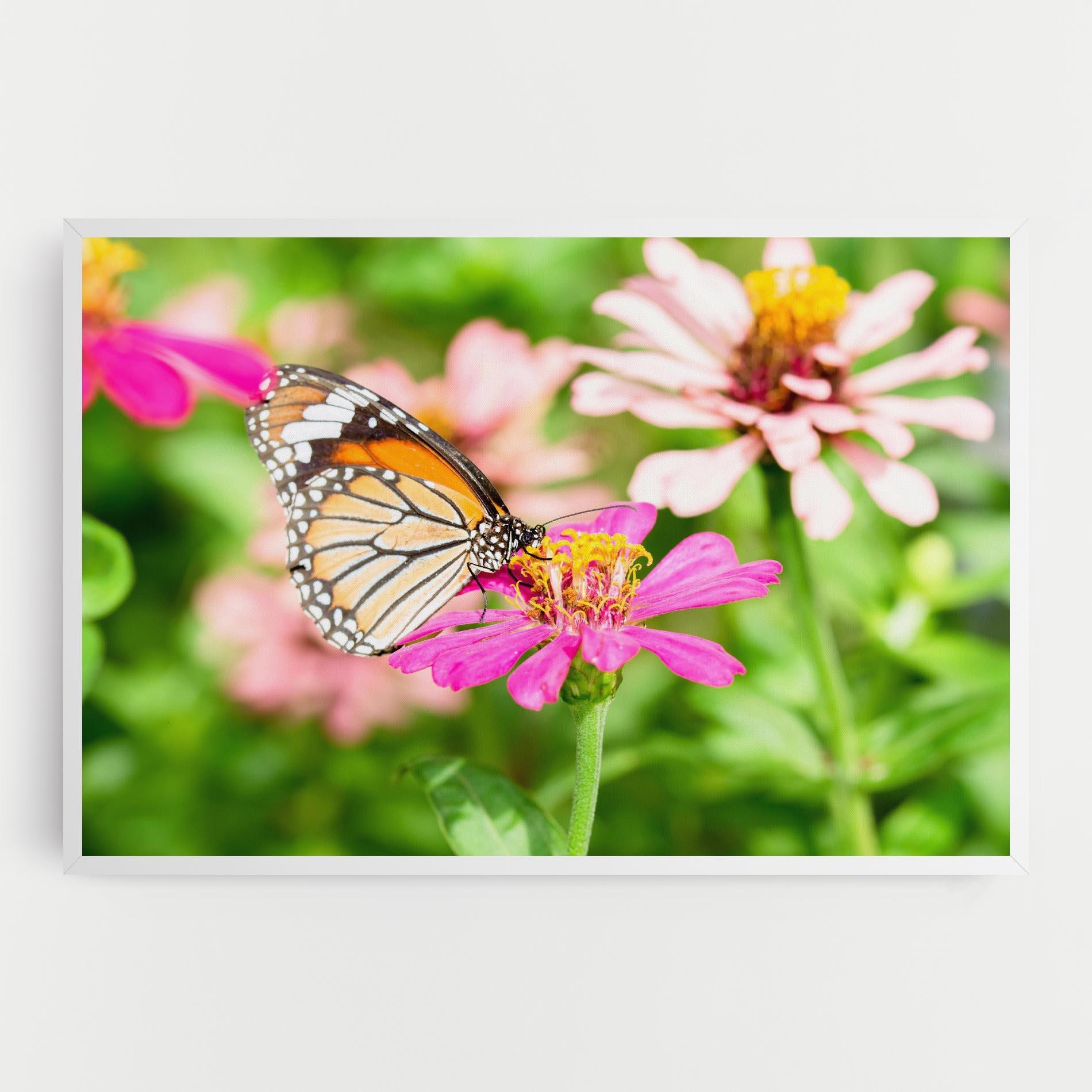 Leinwandbild Daylight Butterfly mockup 0