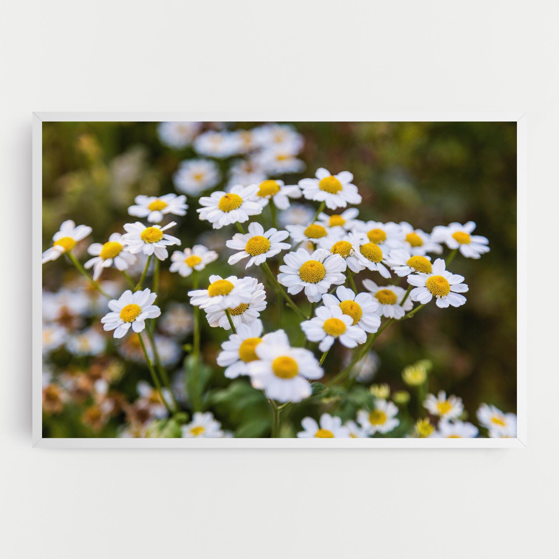 Leinwandbild Flowers Garden mockup 0