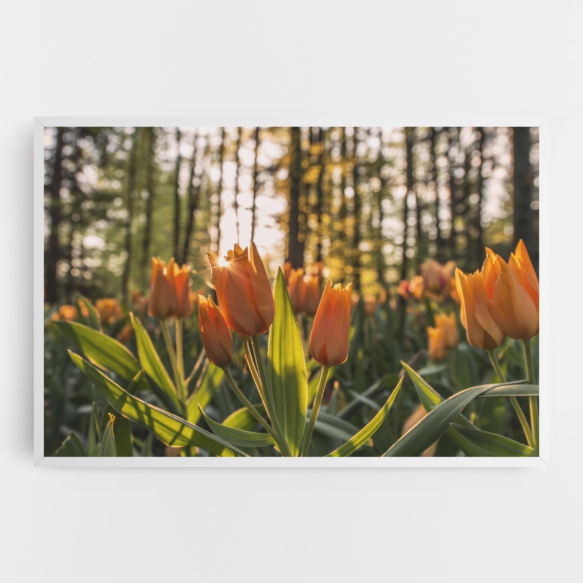 Forest Tulips mockup 0
