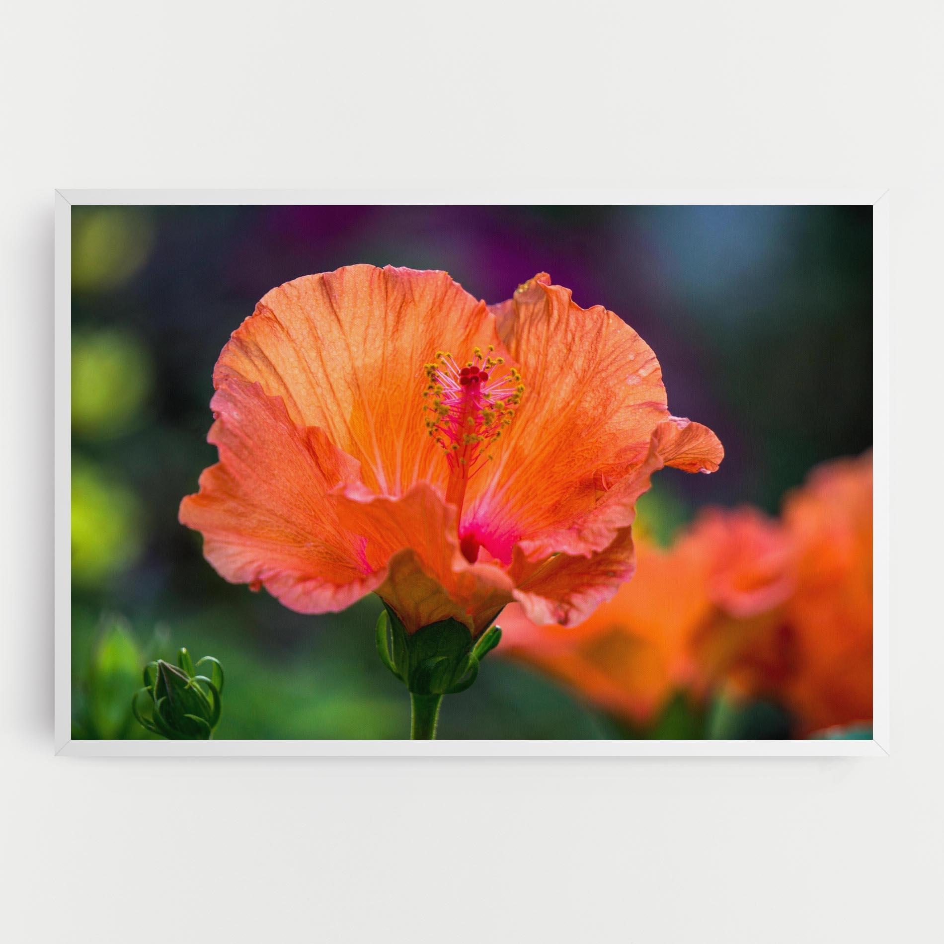 Leinwandbild Orange Wild Flower mockup 0