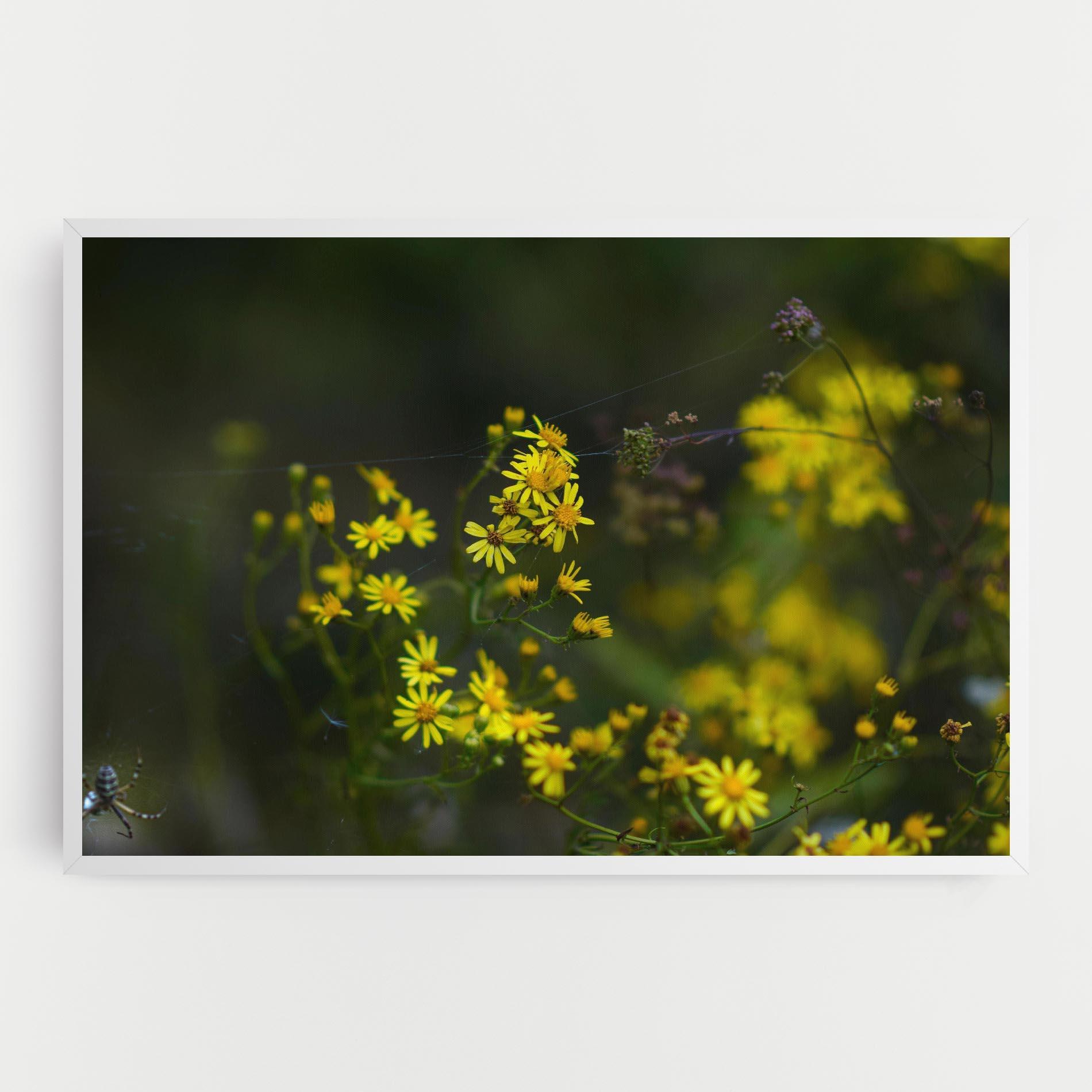 Leinwandbild Small Wild Flowers mockup 0
