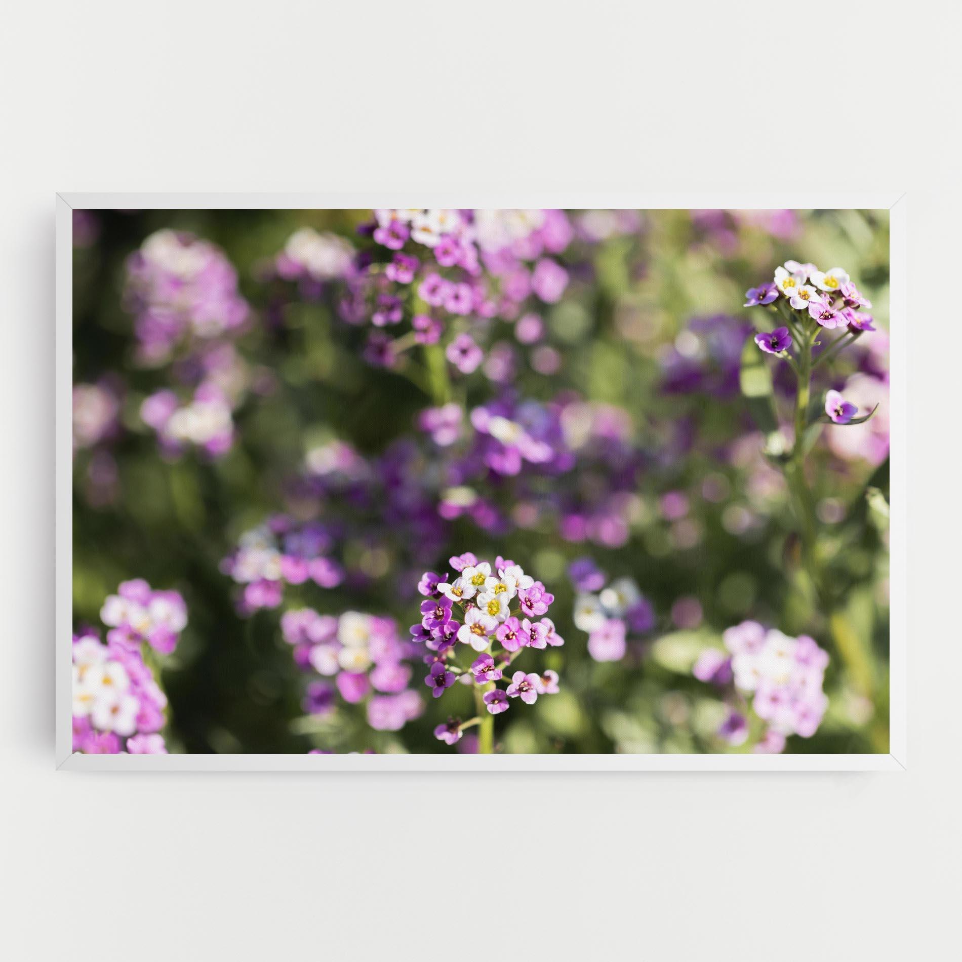 Leinwandbild Wild Purple Field mockup 0