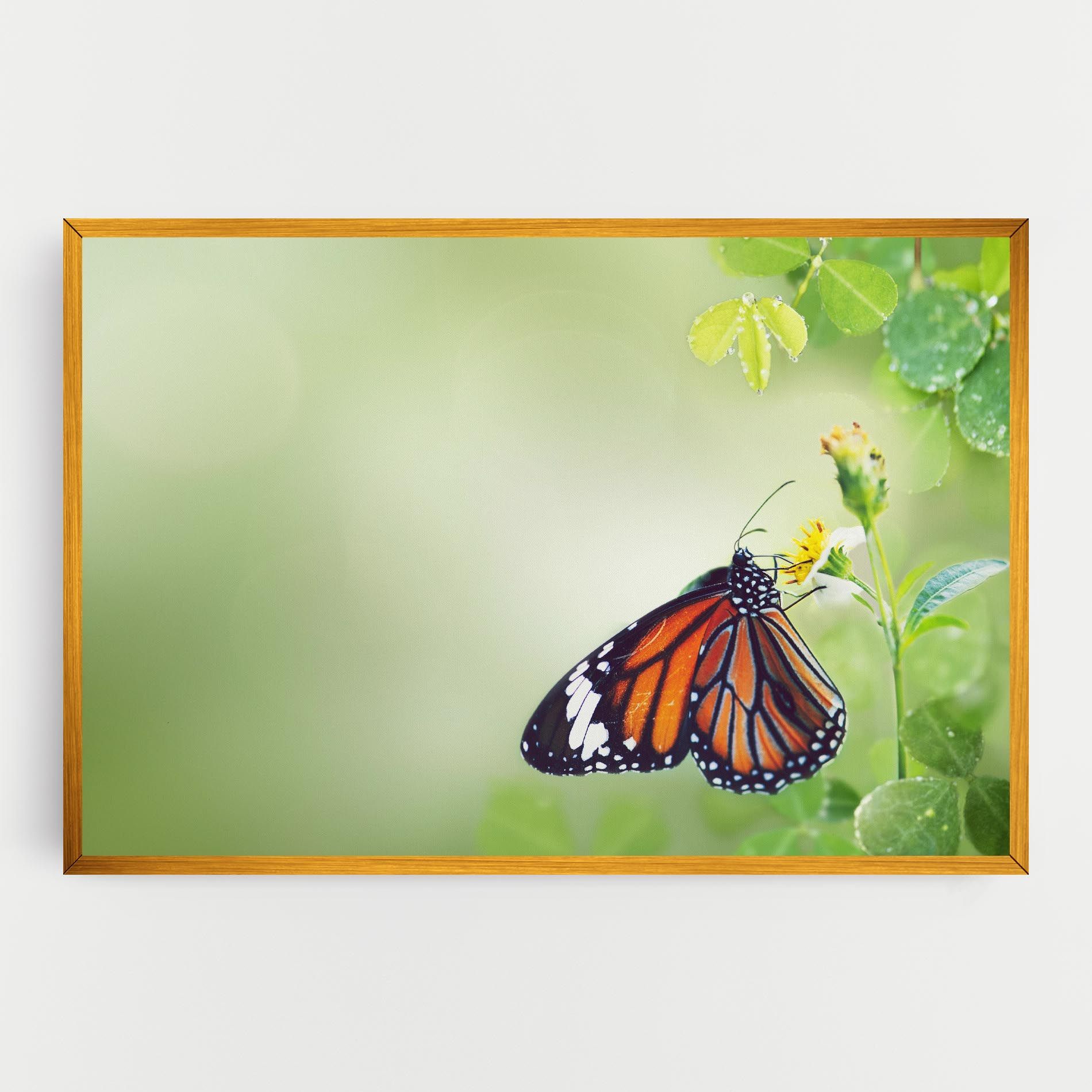 Butterfly Wild Plant mockup 0