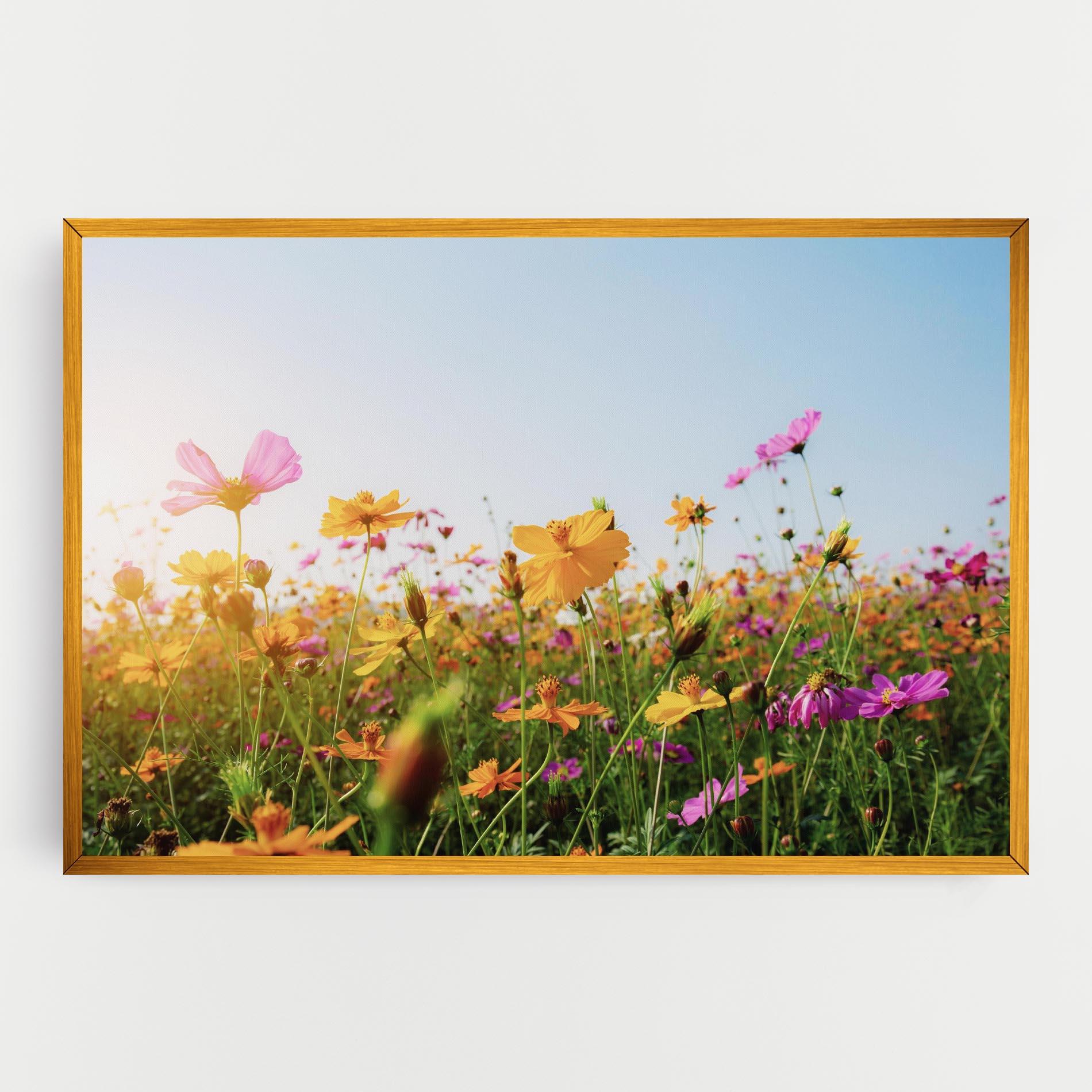 Leinwandbild Cosmos Field Sunset mockup 0