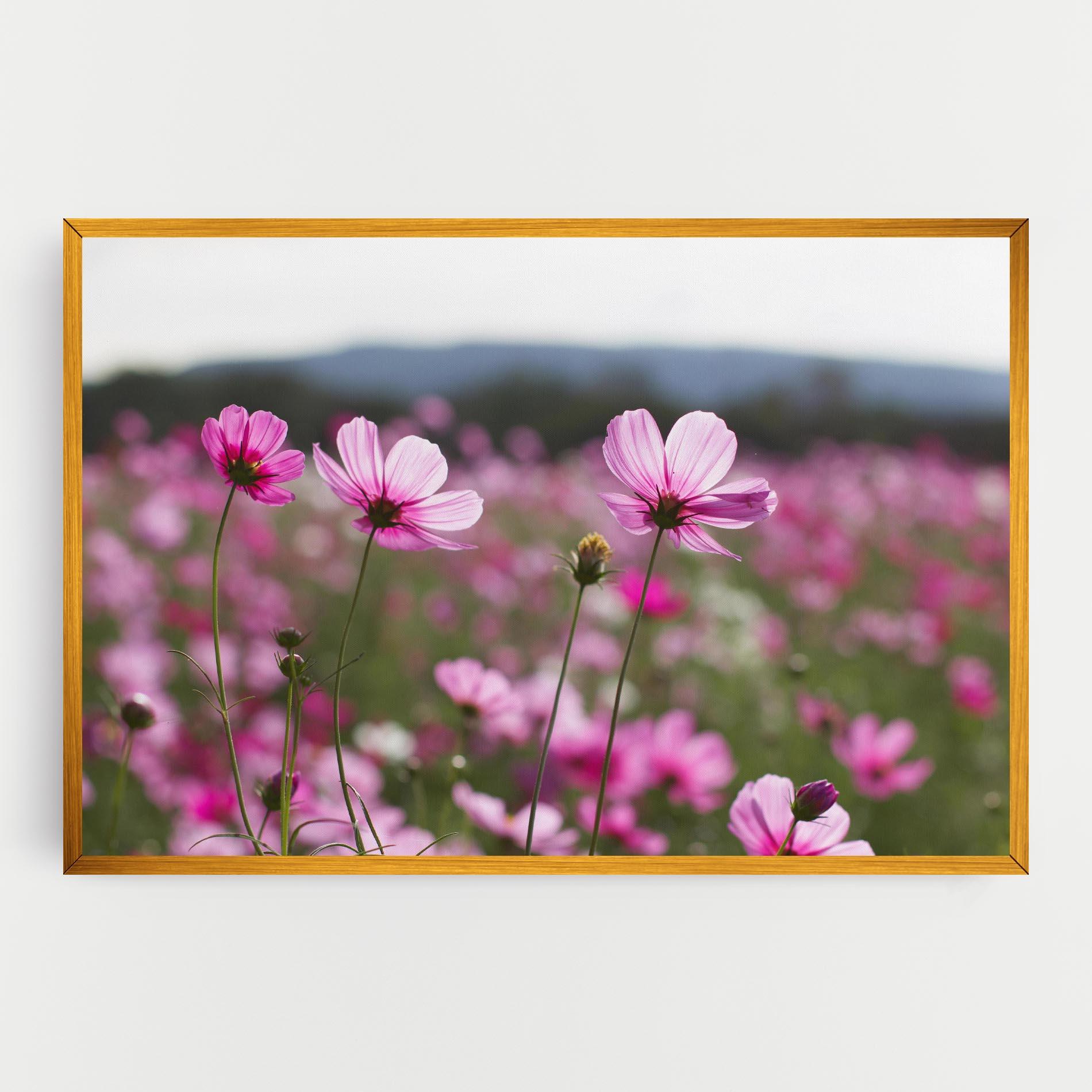 Leinwandbild Cosmos Flower mockup 0