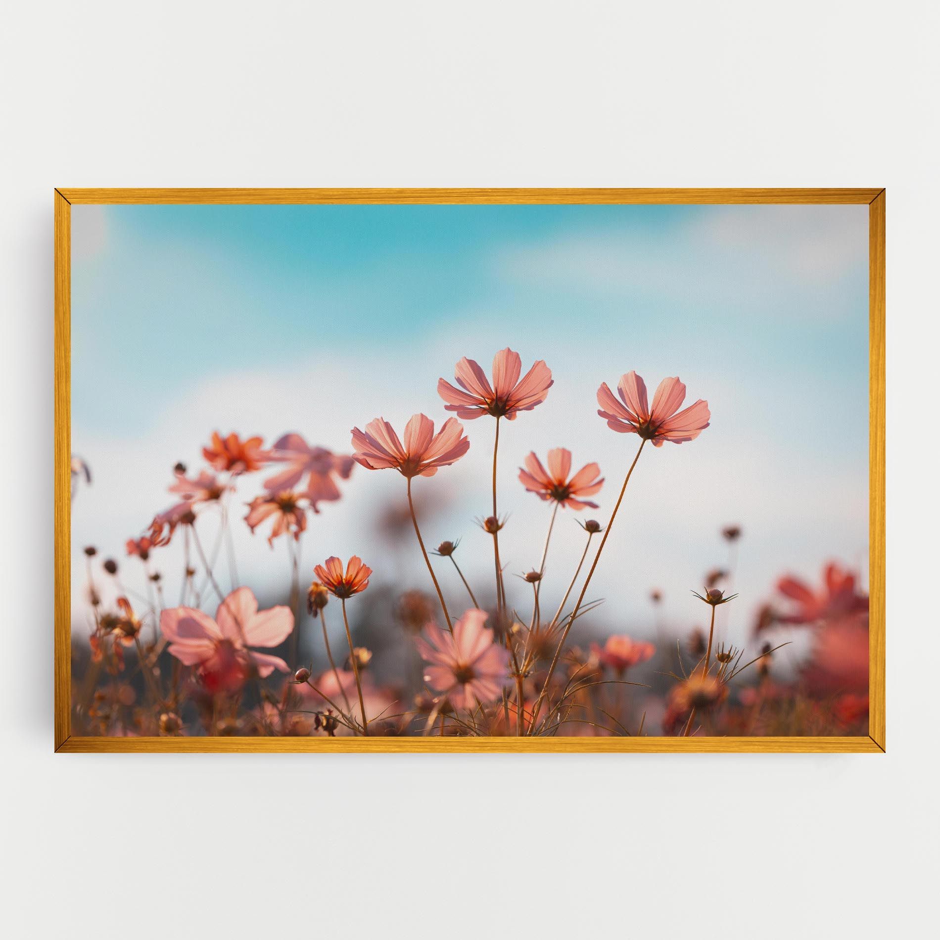 Cosmos Flowers Beautiful mockup 0