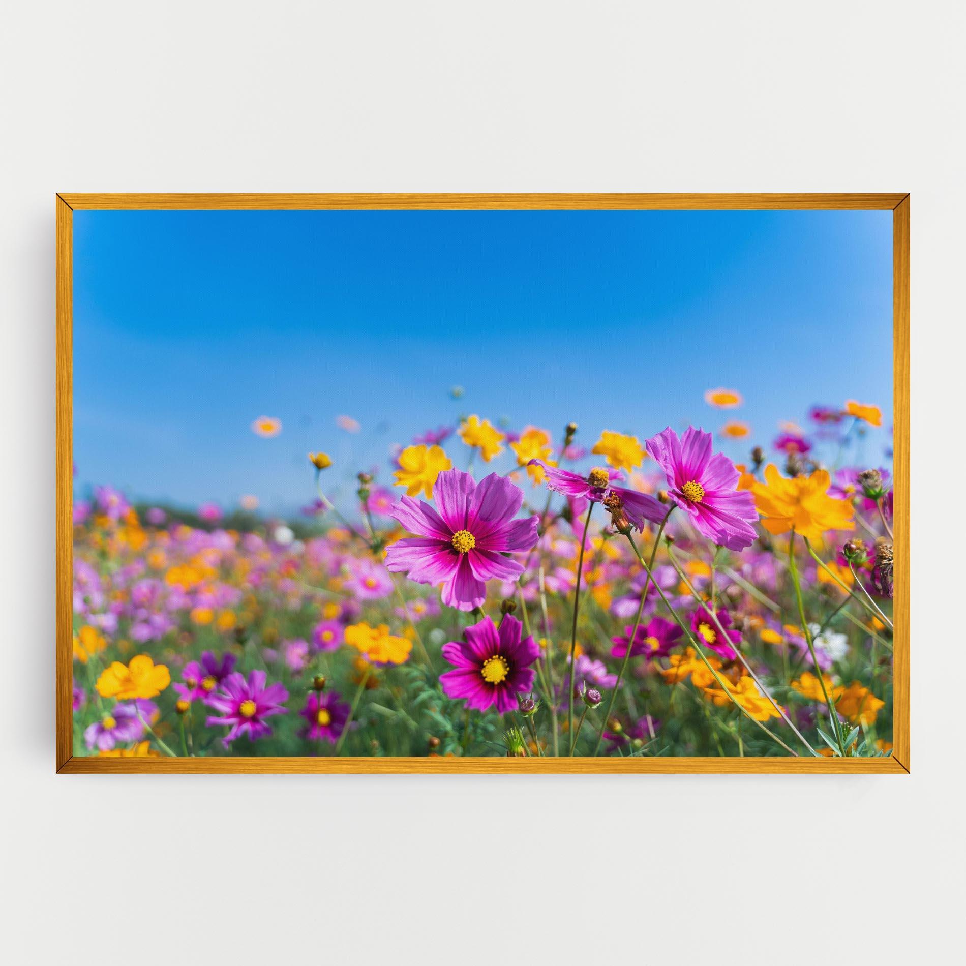 Leinwandbild Cosmos Flowers Grassland mockup 0