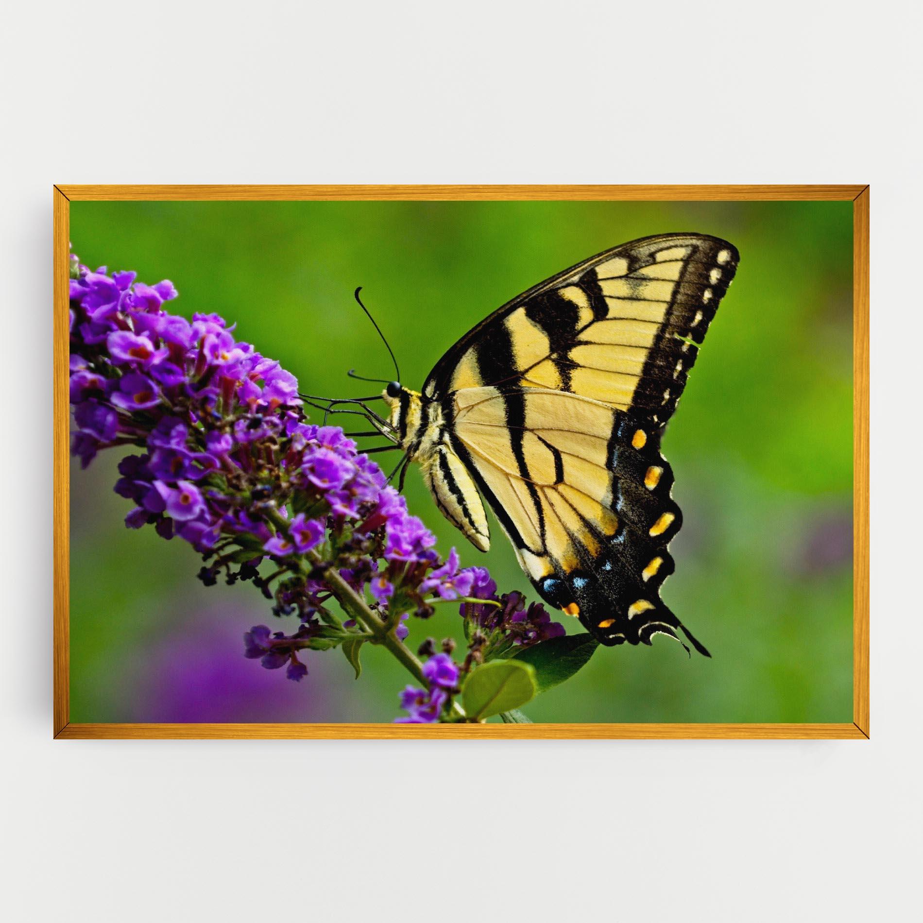 Leinwandbild Cream Wild Butterfly mockup 0